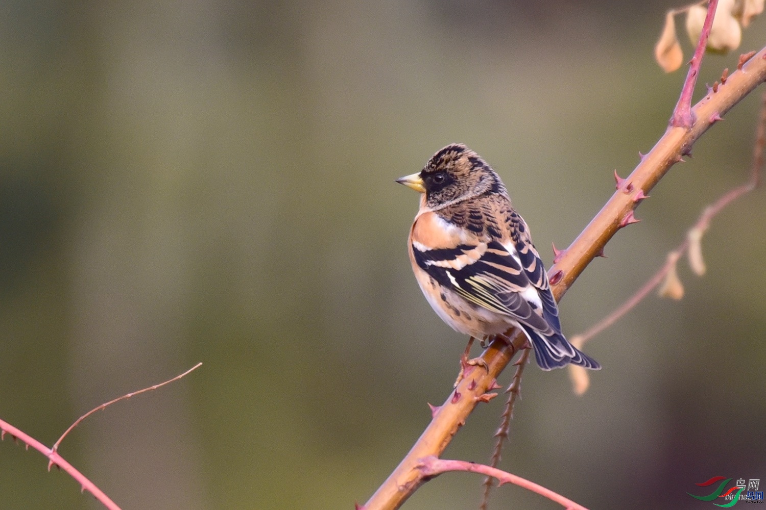 ���ʮ����  ��ʦ������ɽ��ʡ������.jpg