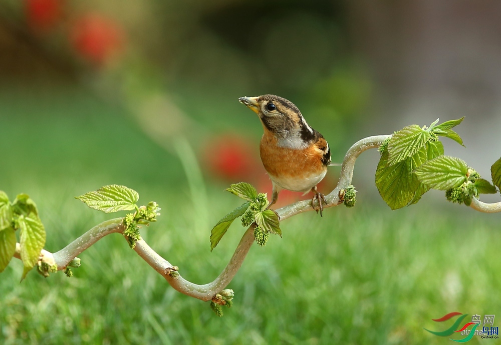 �����  ��ʦ������ɽ��ʡΫ���в�����.jpg