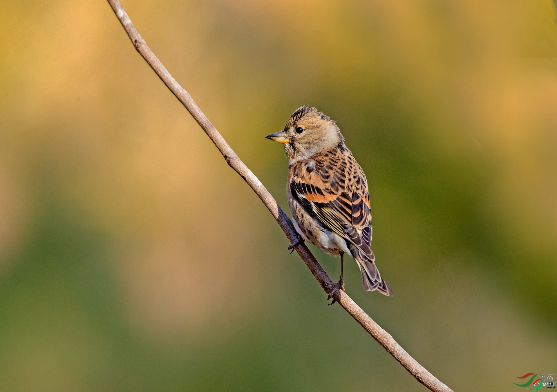 һ·����  ��ʦ����.jpg