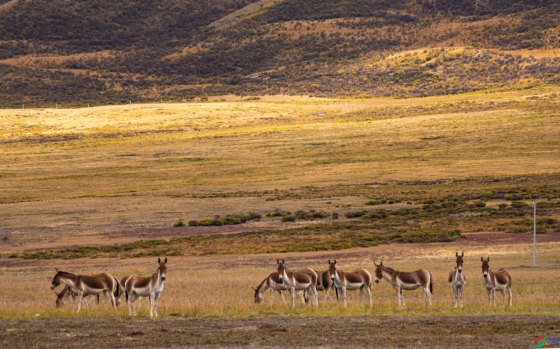 _DSC2243_����.jpg