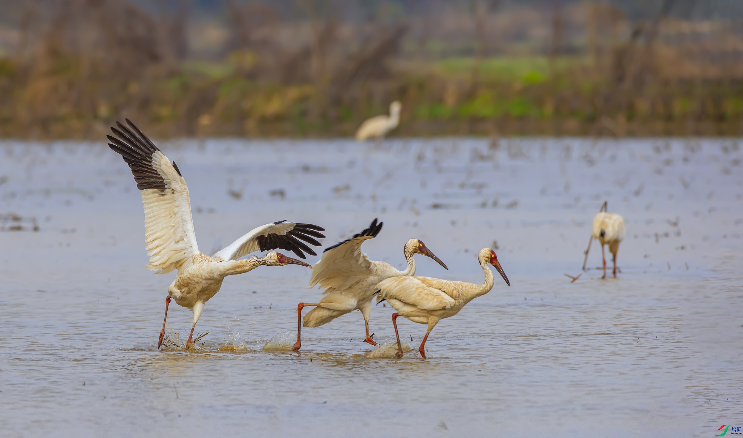 _07A9962--1 .jpg