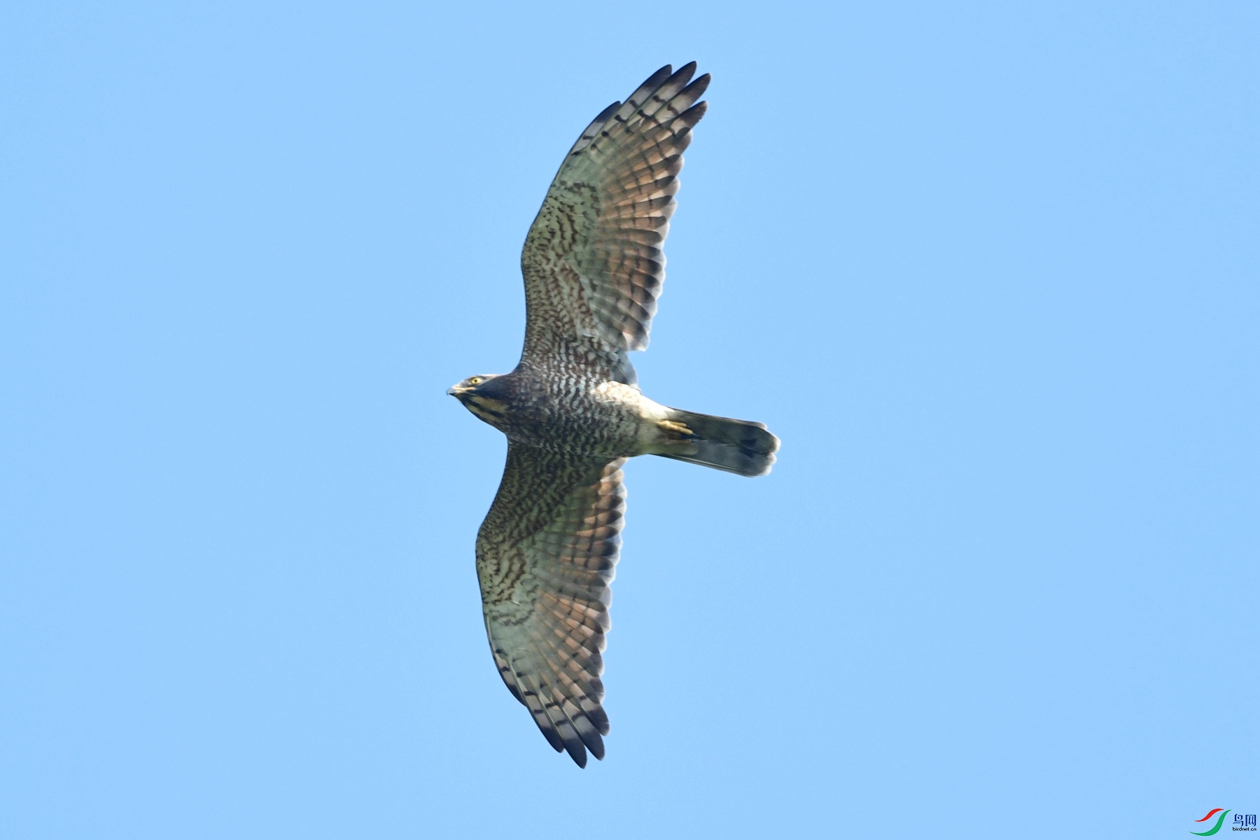DSC_1840_����000�㶫.jpg