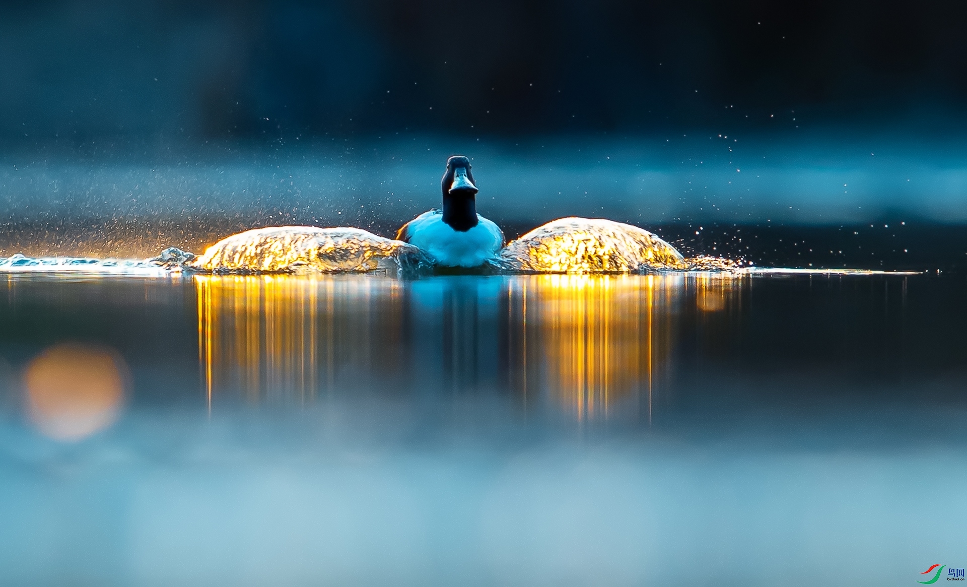 DSC_5772 (2)-31 ����.jpg