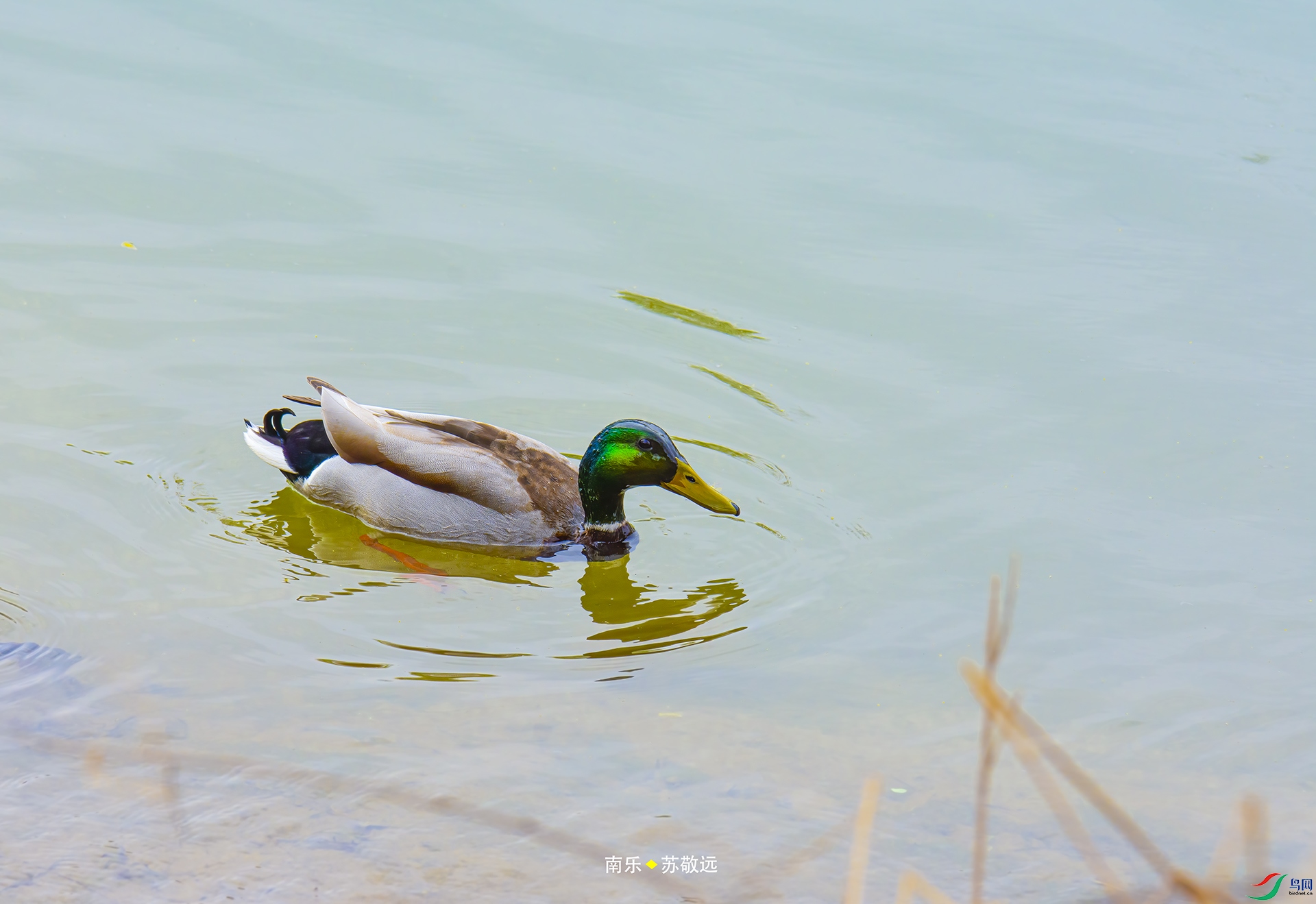 _DSC5676С.jpg