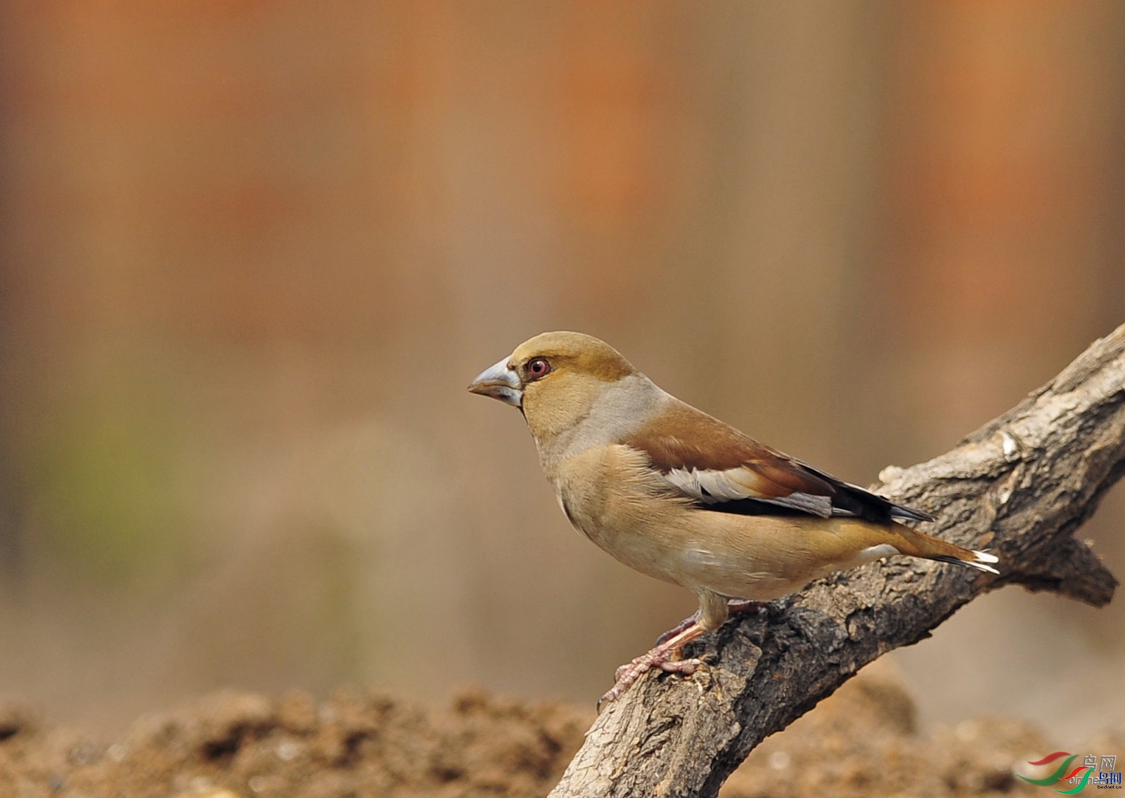 ������ǰ  ��ʦ����������ʡ������.jpg