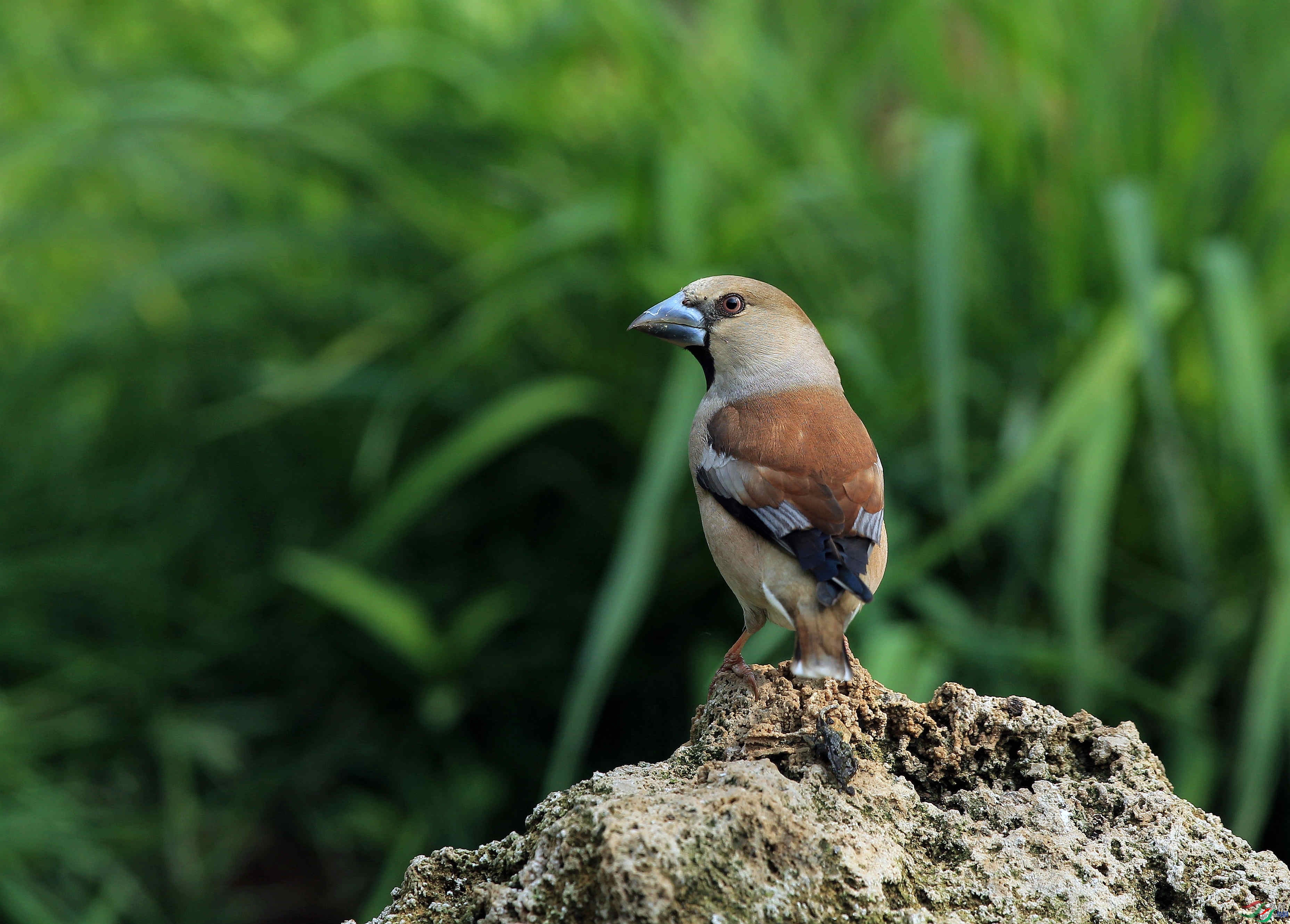 ũ�ҵ���  ��ʦ������ɽ��ʡΫ���в�����.jpg