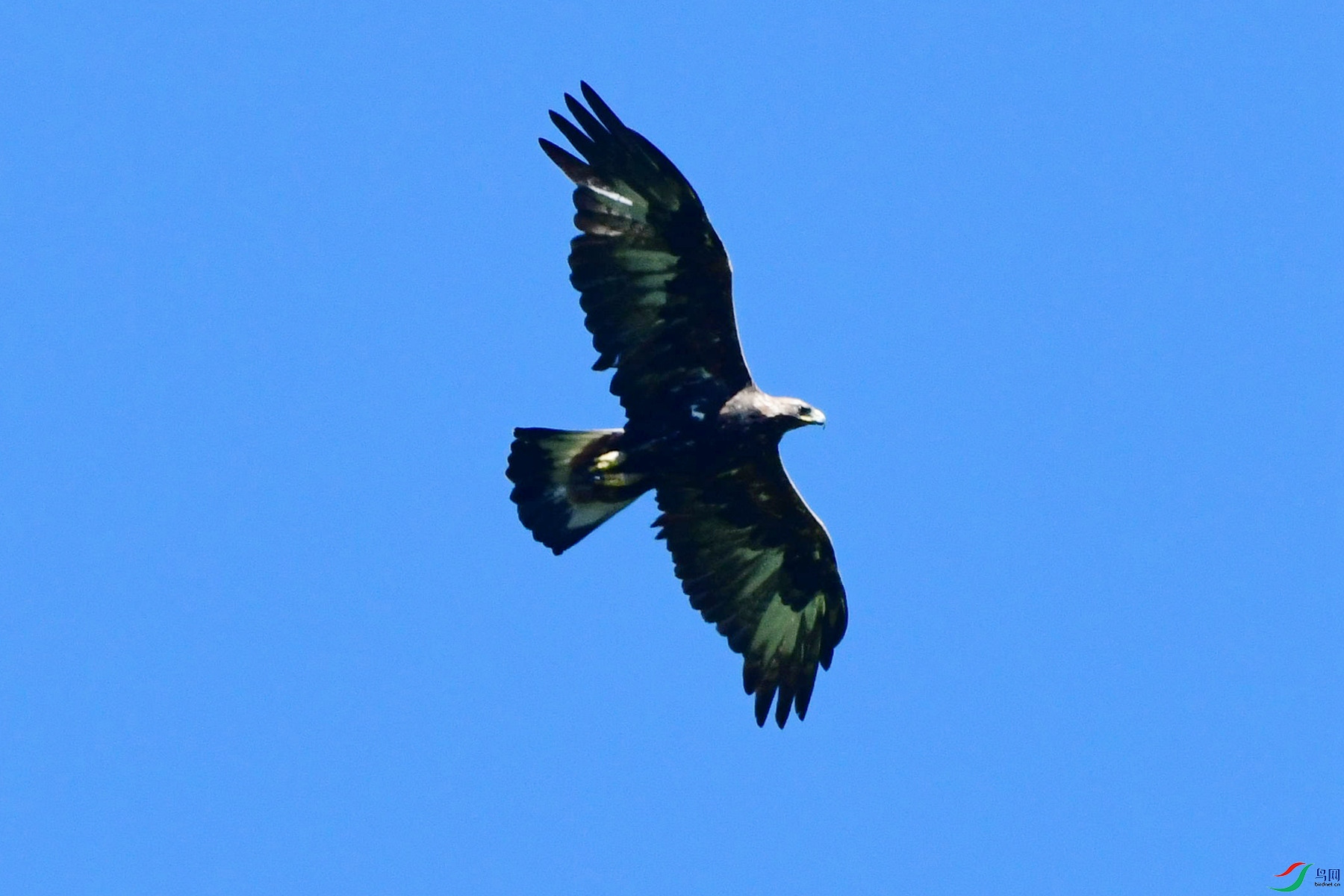 DSC_2373_�������㽭̨��.jpg