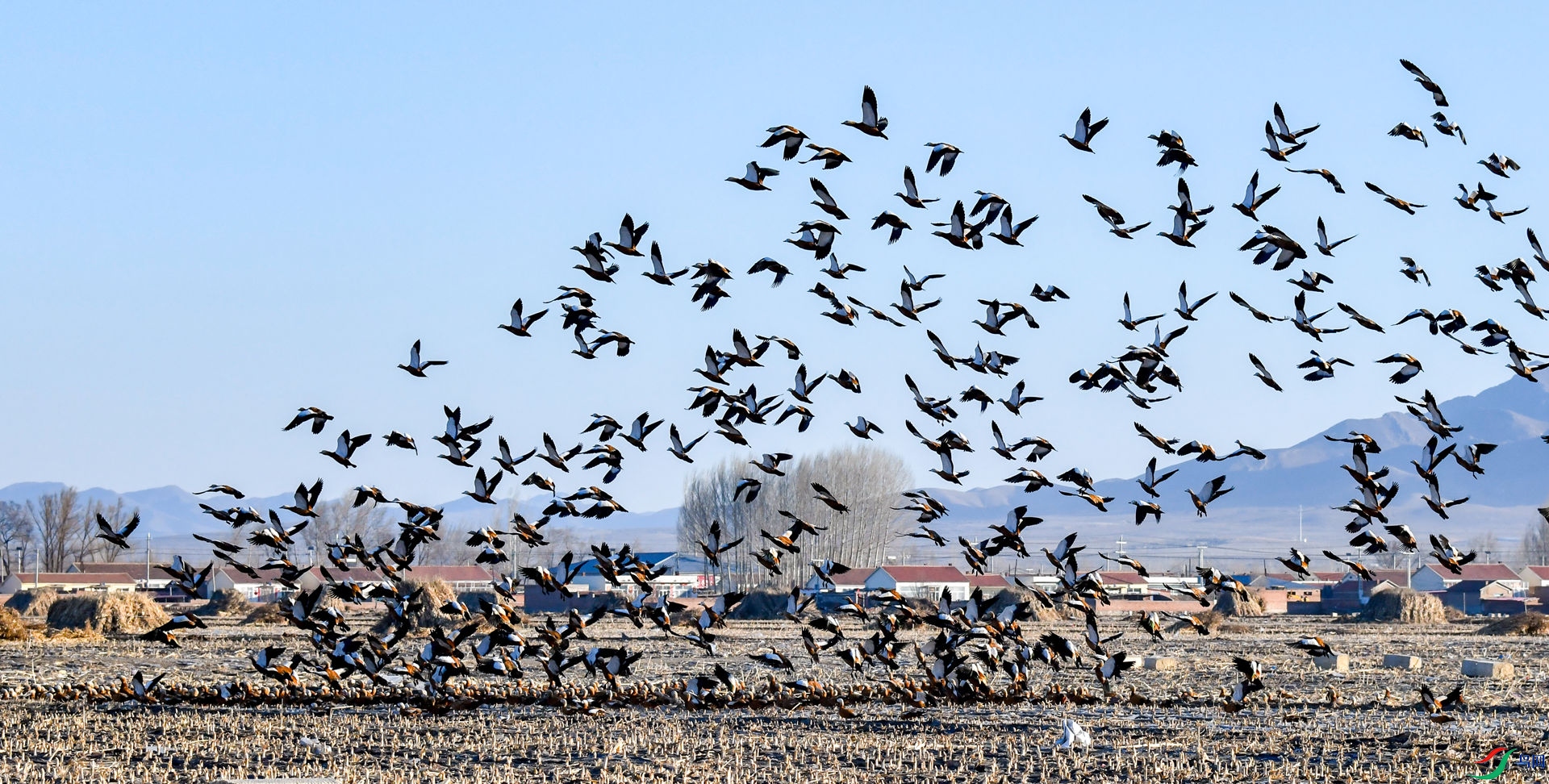 С����ǰ�����