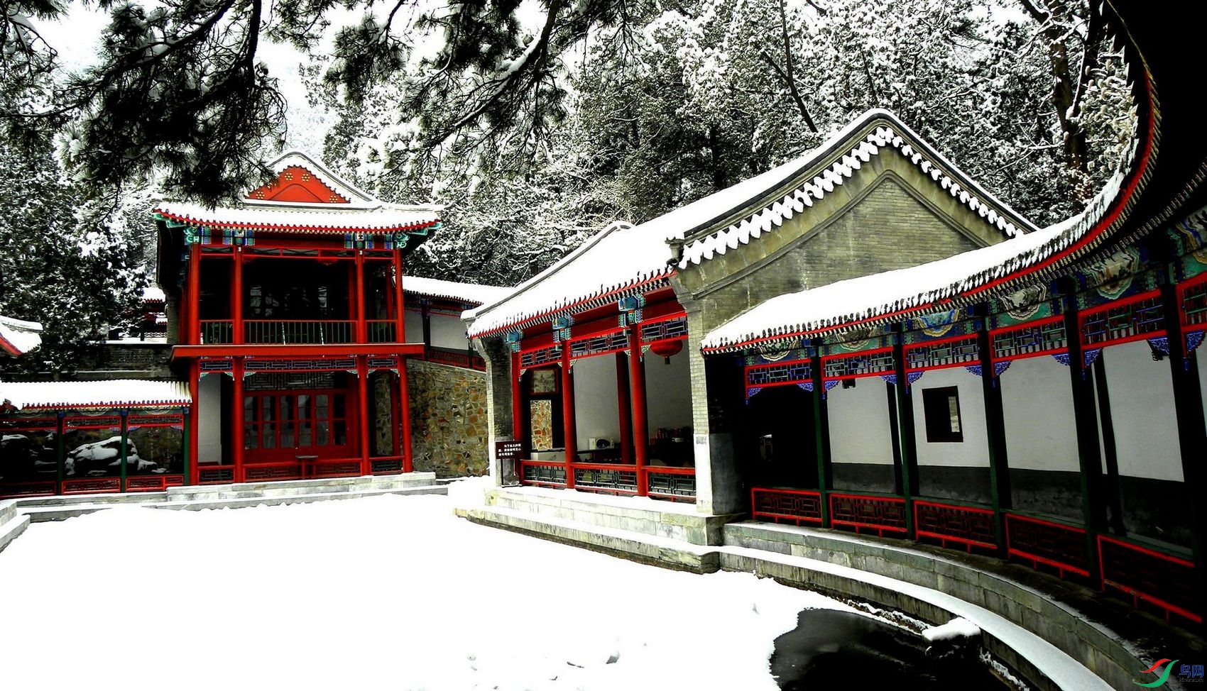 DSCN9918.jpg