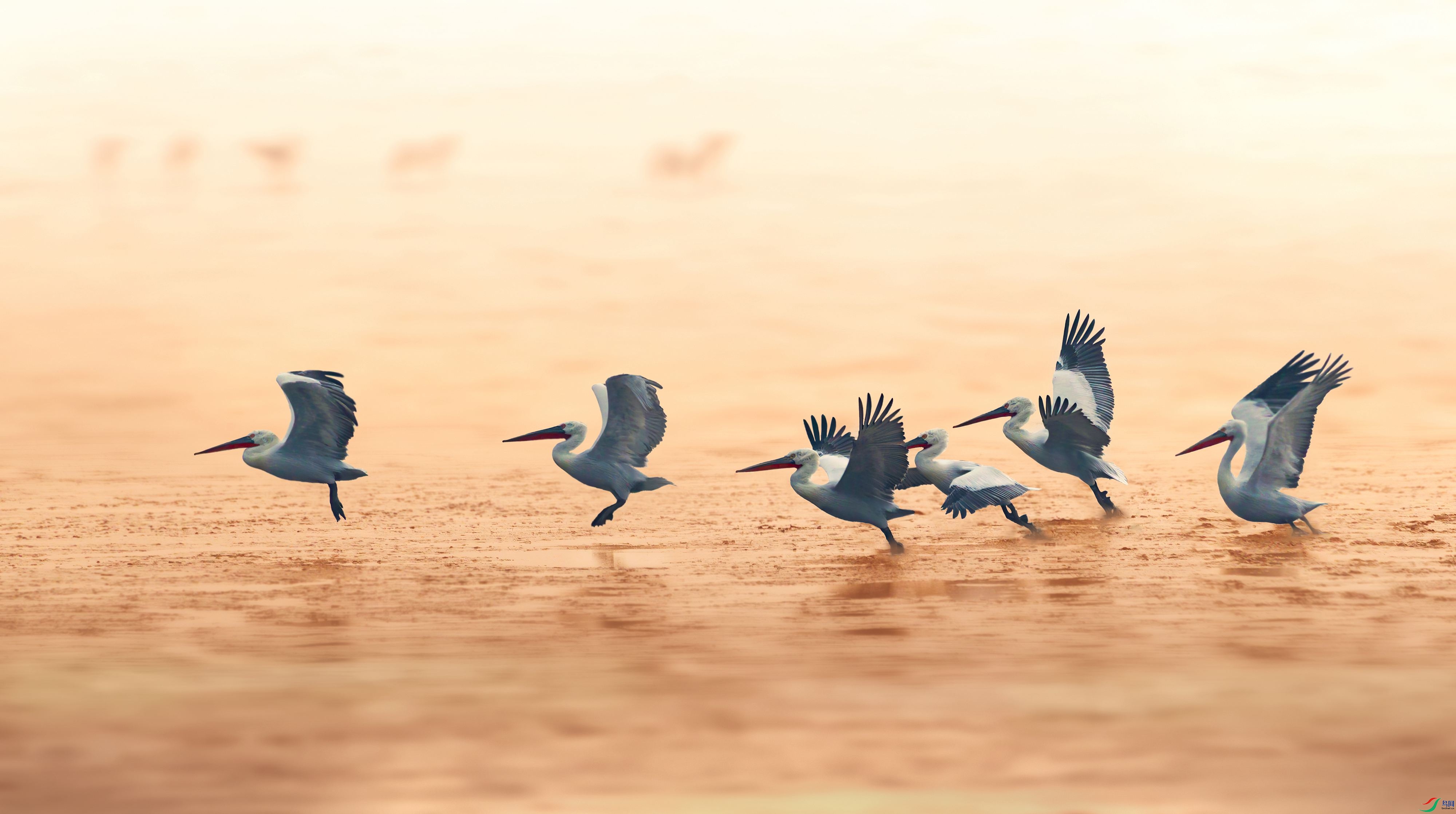 B74I1055-x ����.jpg