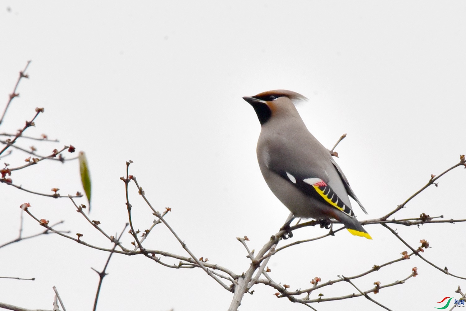 DSC_5169.JPG