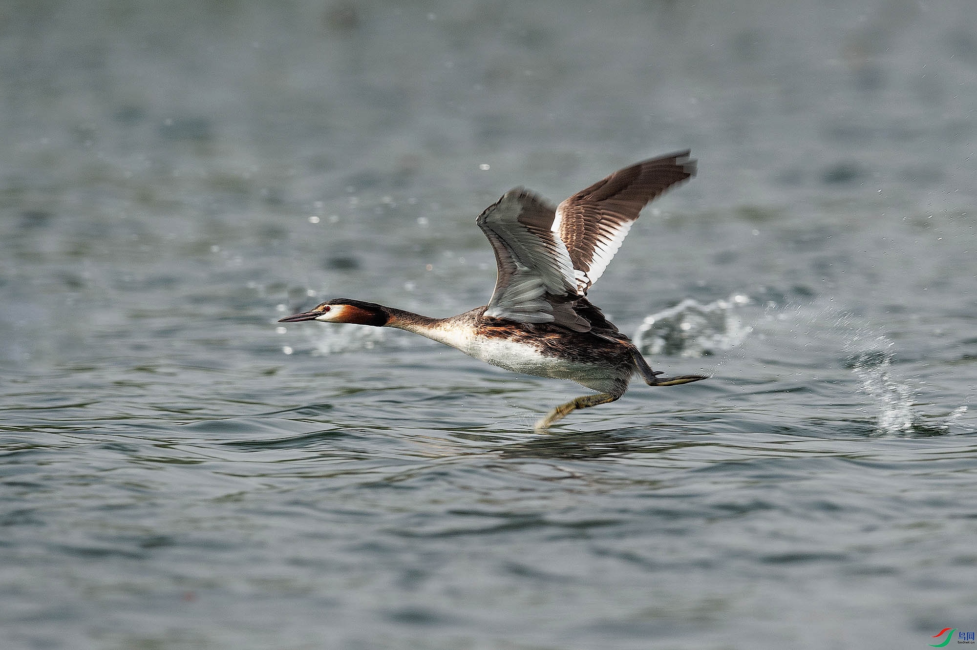 _DSC3033 x����.jpg