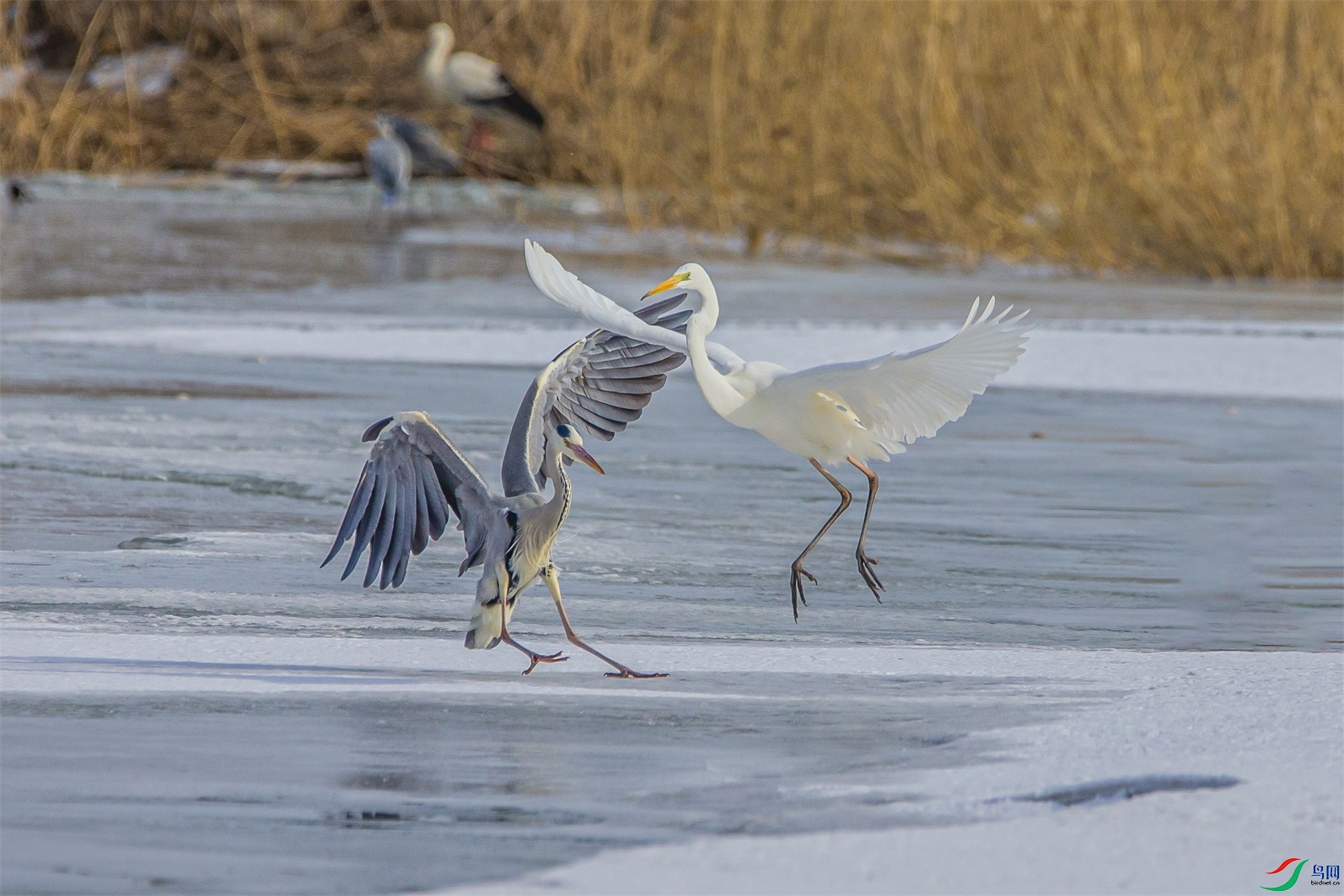 DK7T0761 ����1.jpg