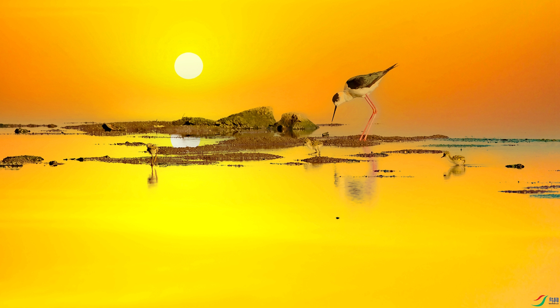 ���ű���Ѱ���