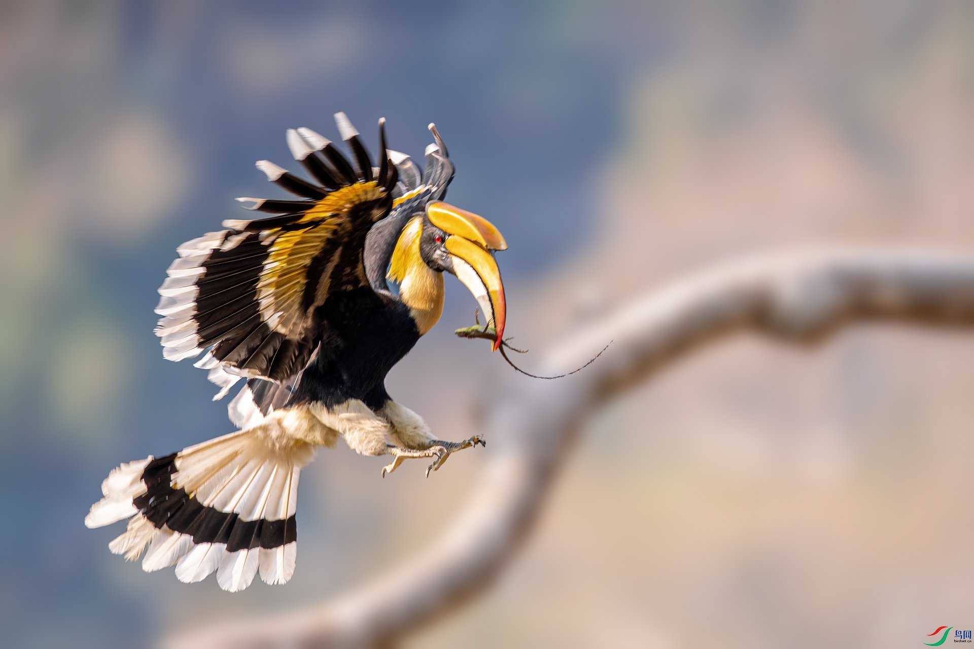 ˫��Ϭ��_9124020-mask-composite.jpg