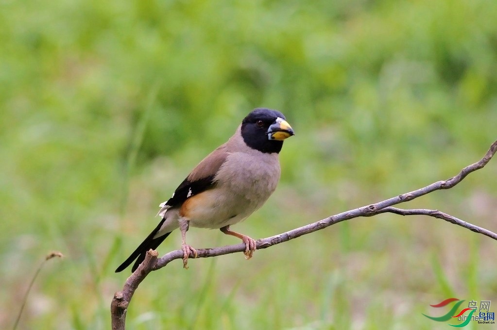 ��������  ��ʦ�����ڱ����б���ֲ��԰.jpg