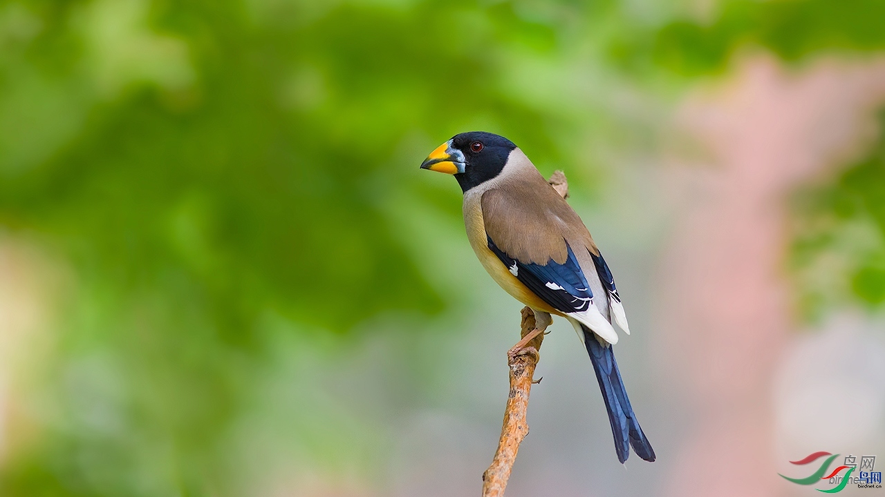 ������  ��ʦ����.jpg