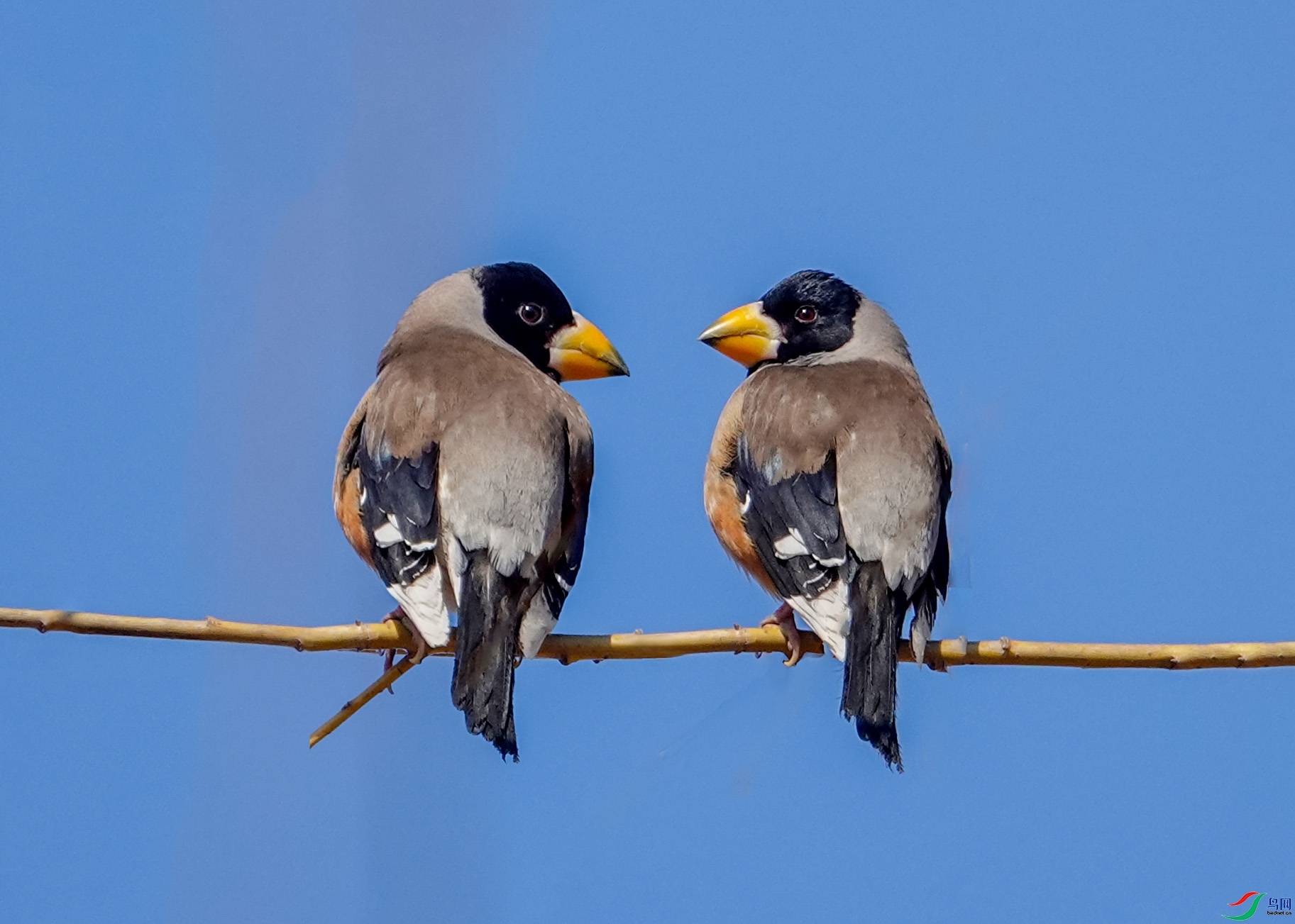 �������  ��ʦ�����ڼ���ʡ������.jpg