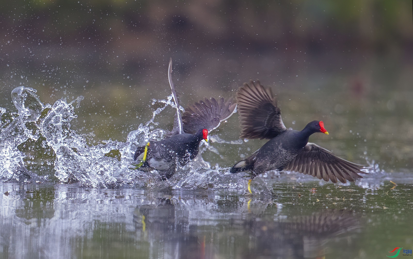 AC0I9182 ����.jpg