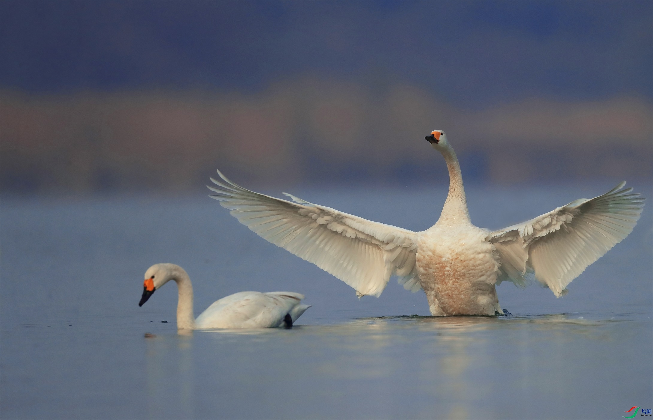 2 - ���� (2).JPG