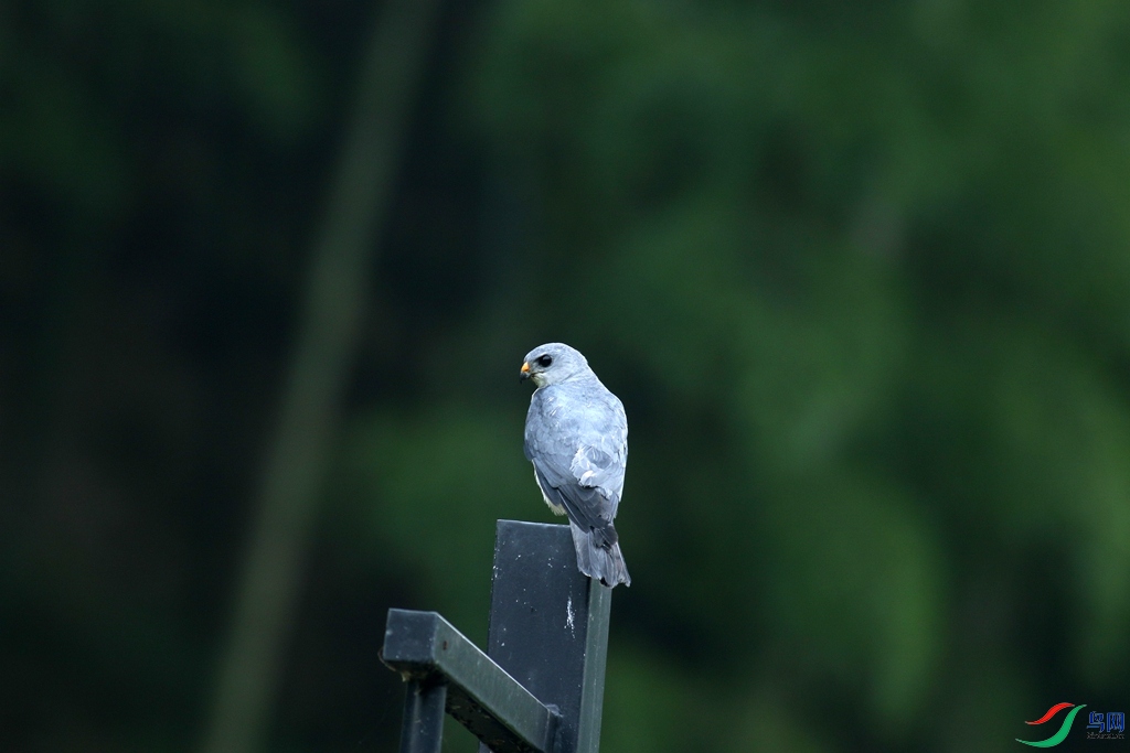 367A6005_����.jpg