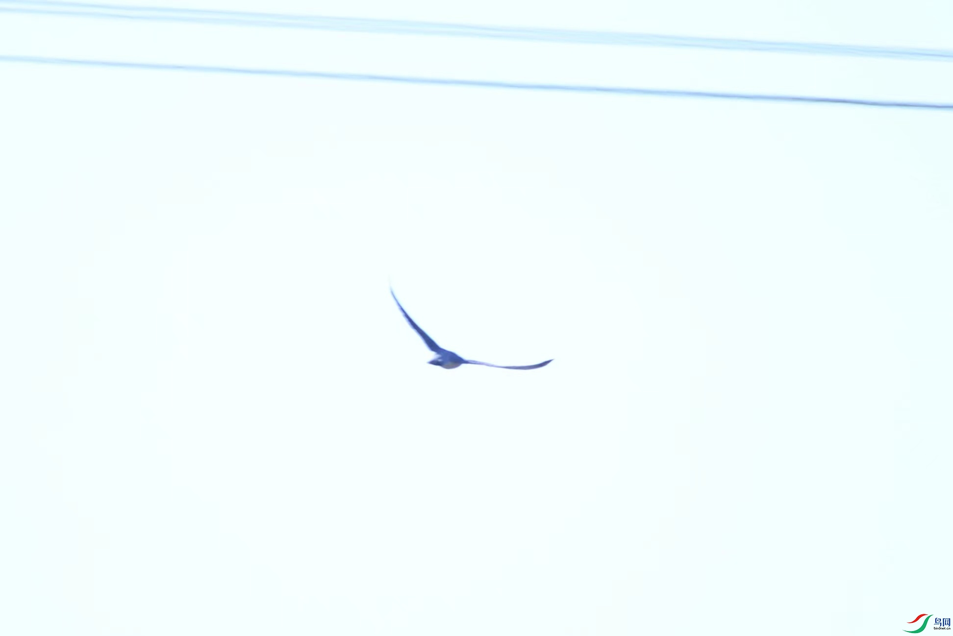 7e199efe27d11a6e37cc7a96454ff06.jpg