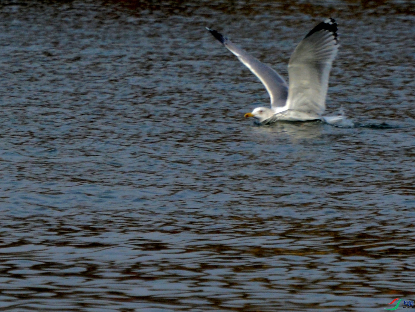 DSC_5221.JPG