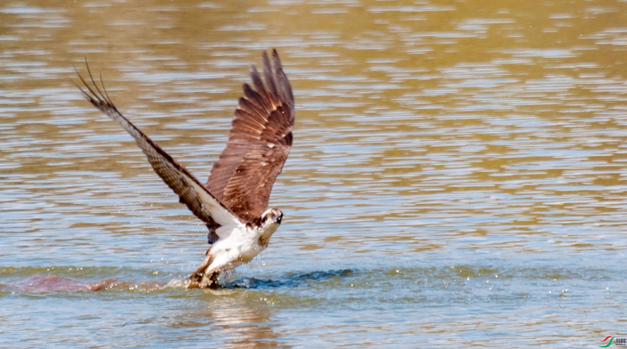 3.12 063_����.jpg