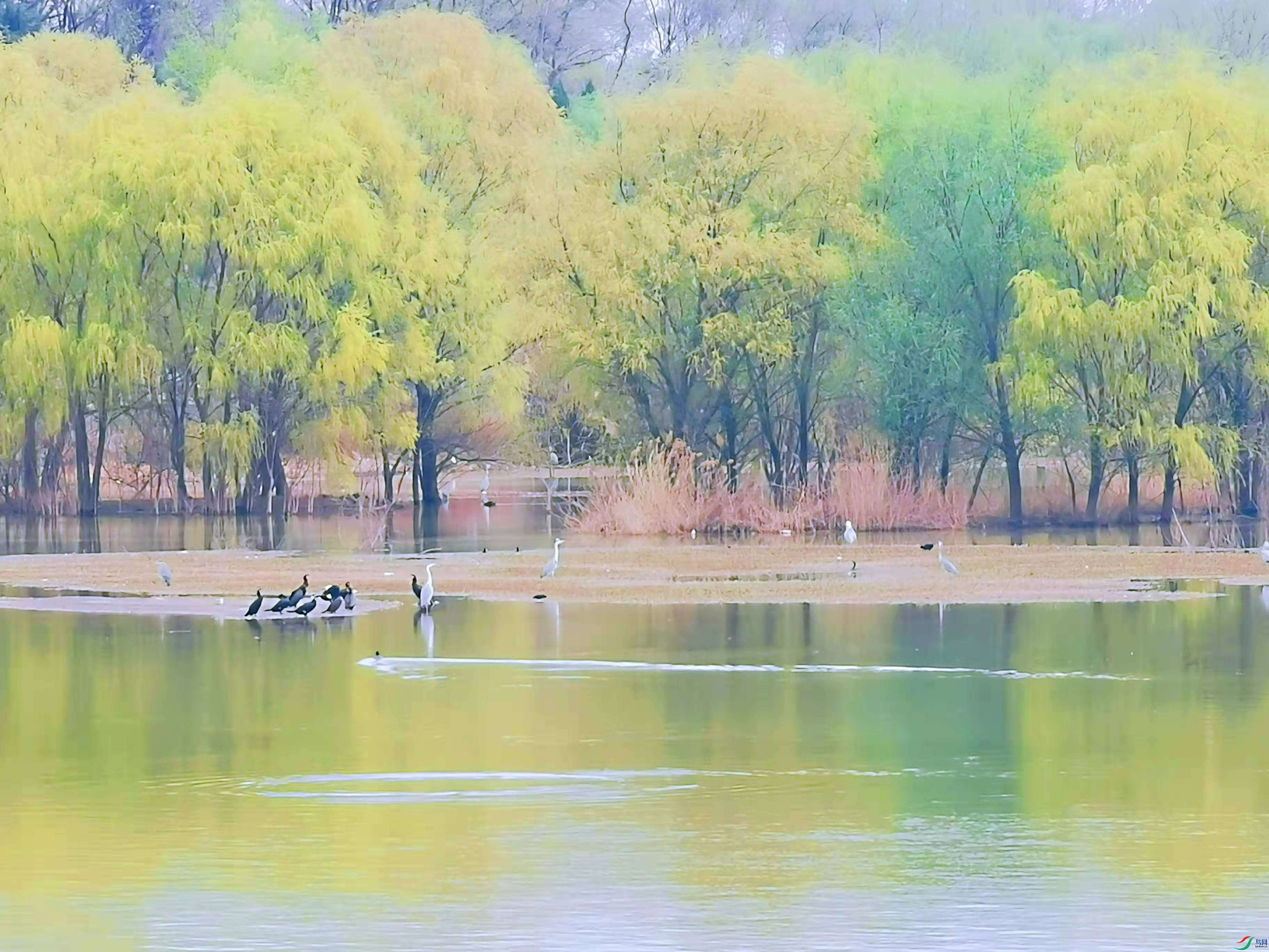 d64350e7ee627a5df6a1006c2745e4c.jpg