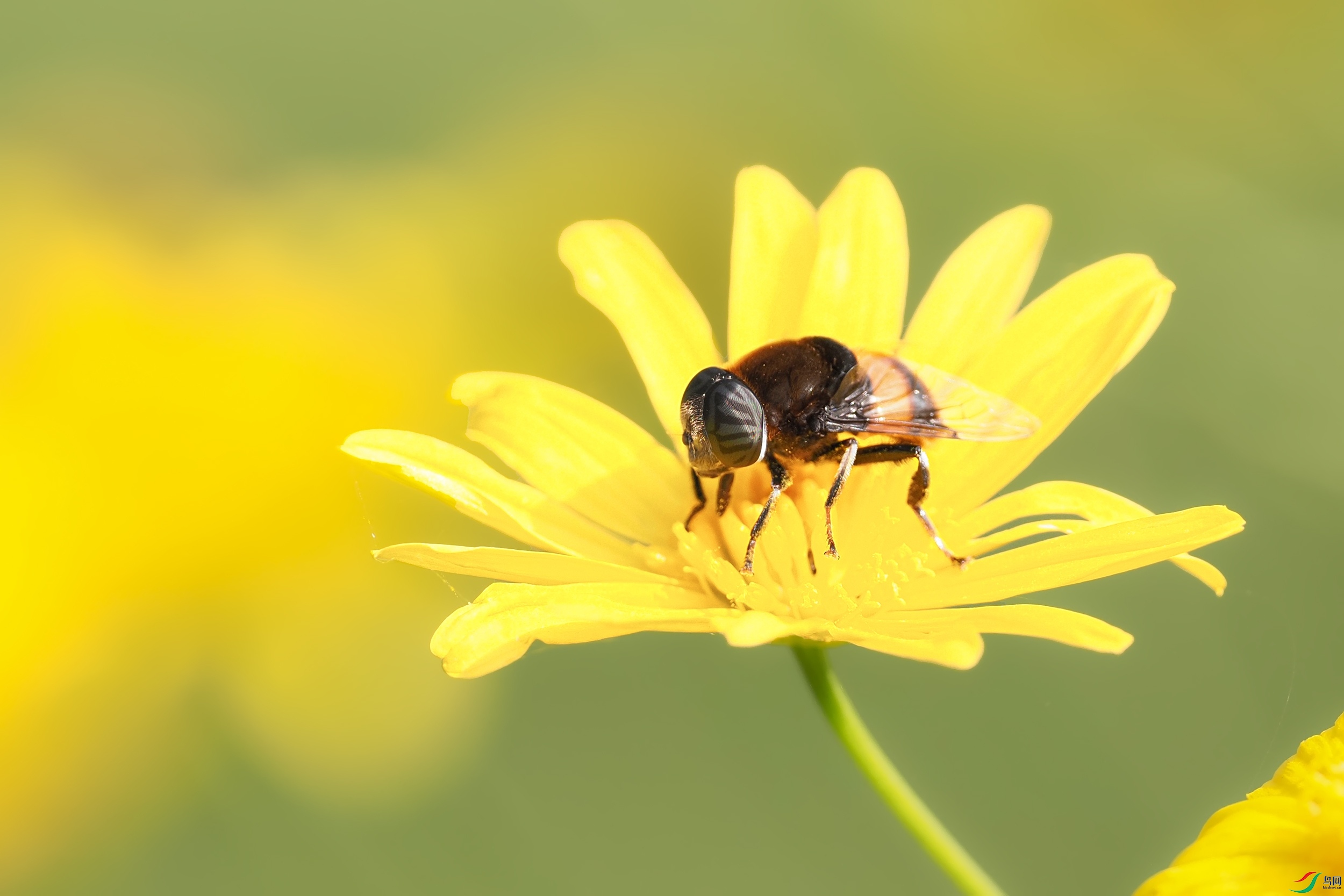 PB100853-1.jpg
