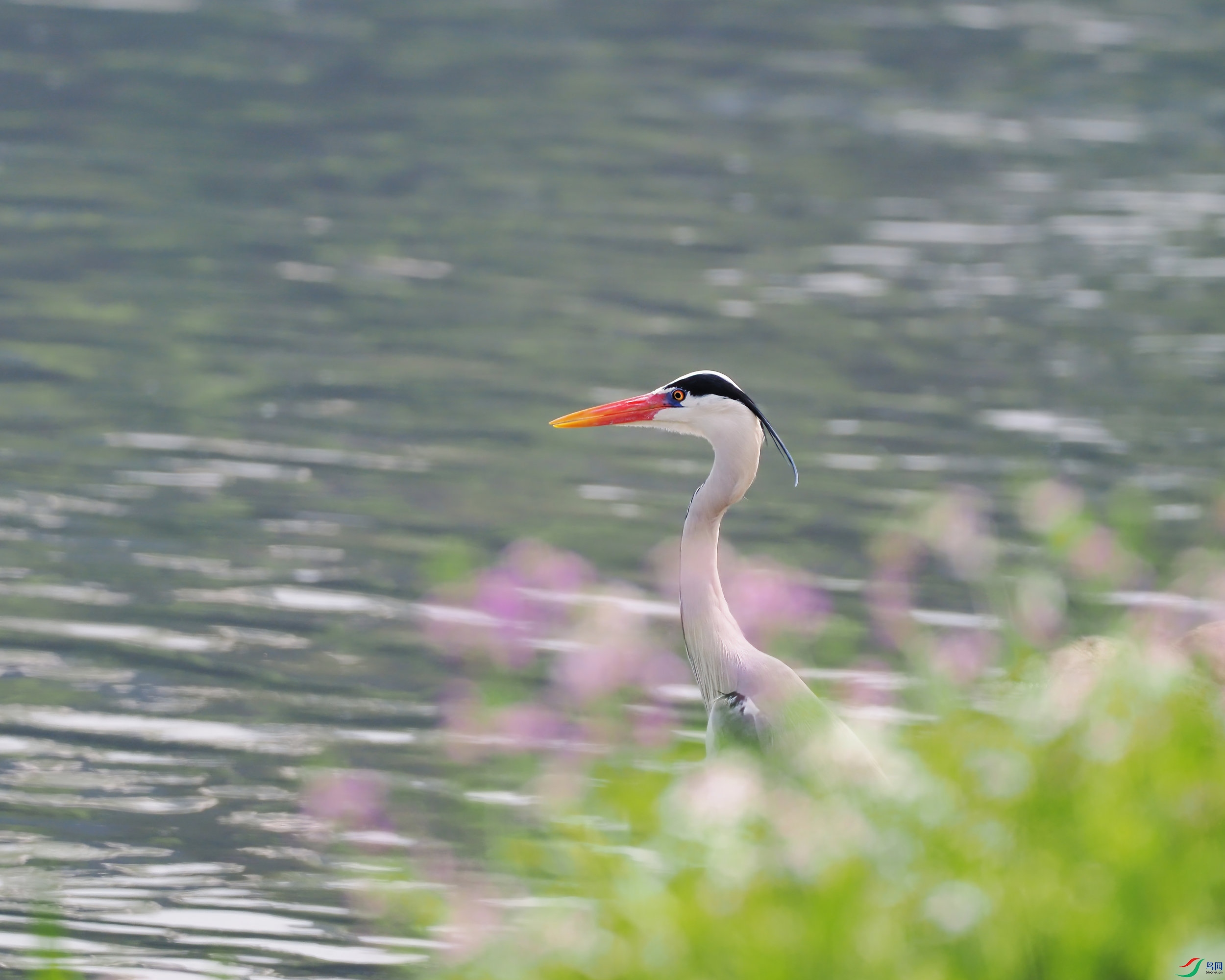 P3180143_2.jpg
