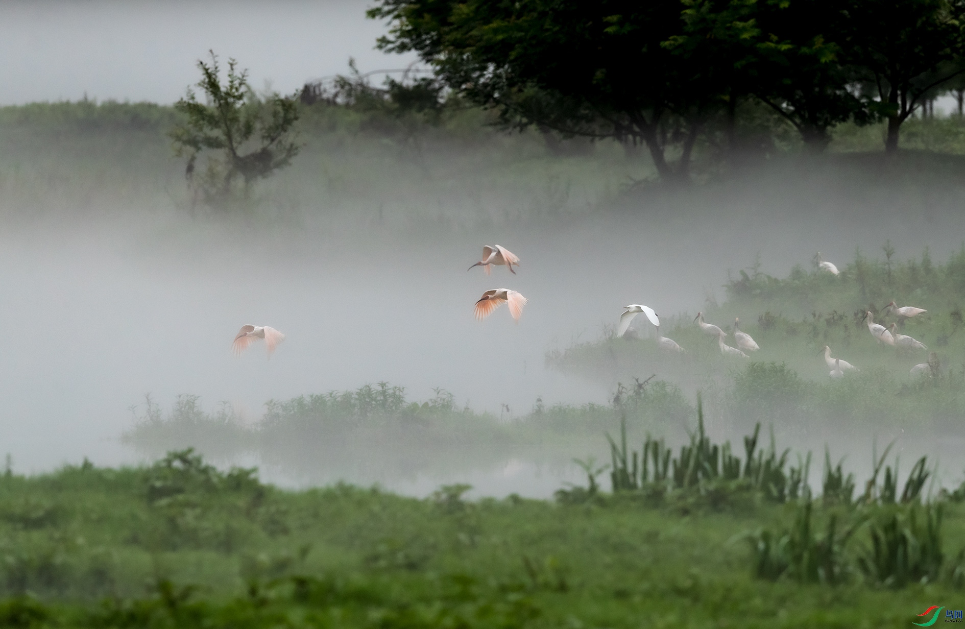 ��Խ����