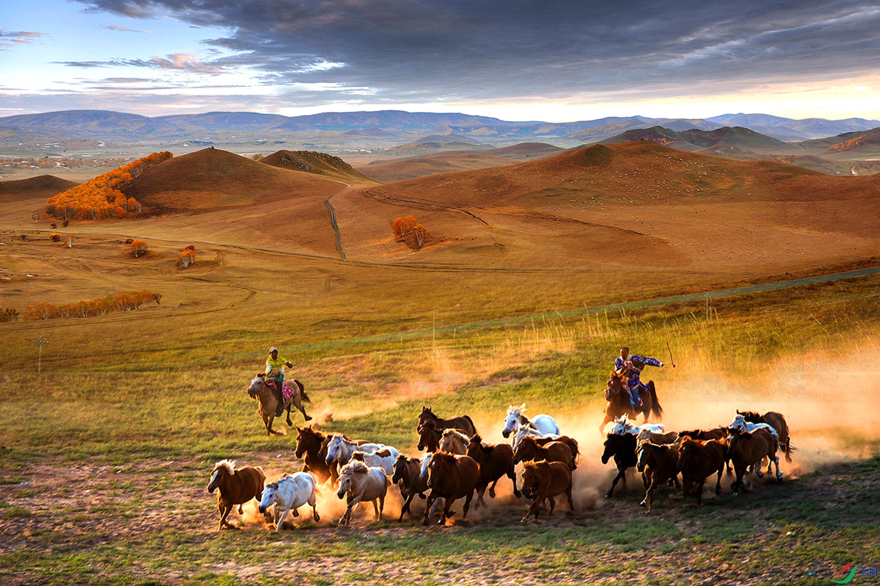 53655712_15009405465 3 ����_����.jpg