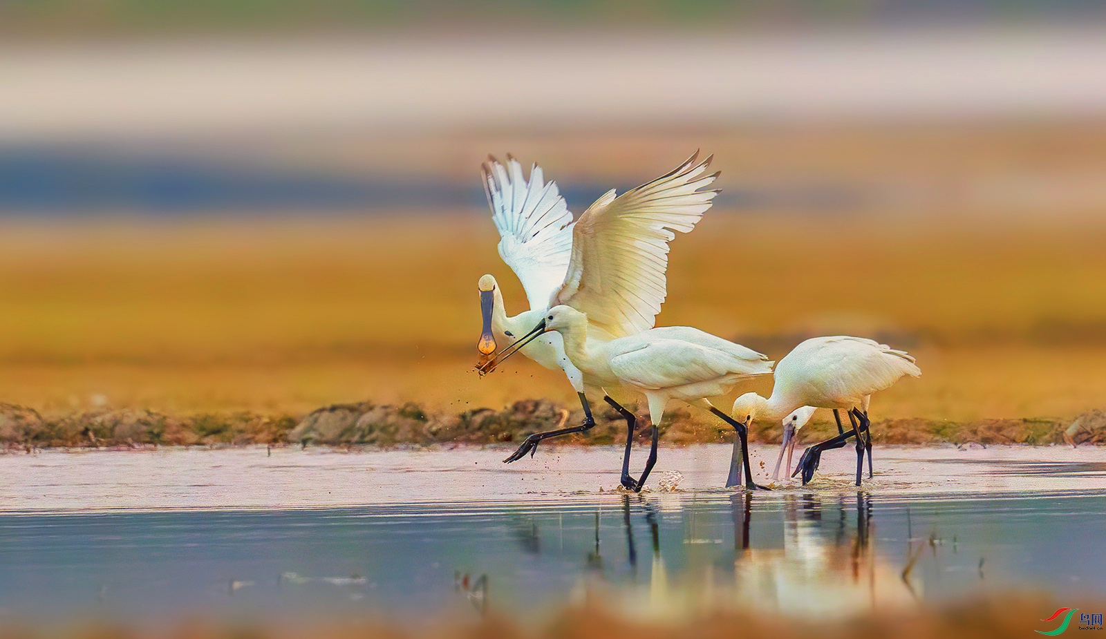 AI8I2942 ���� 2.jpg