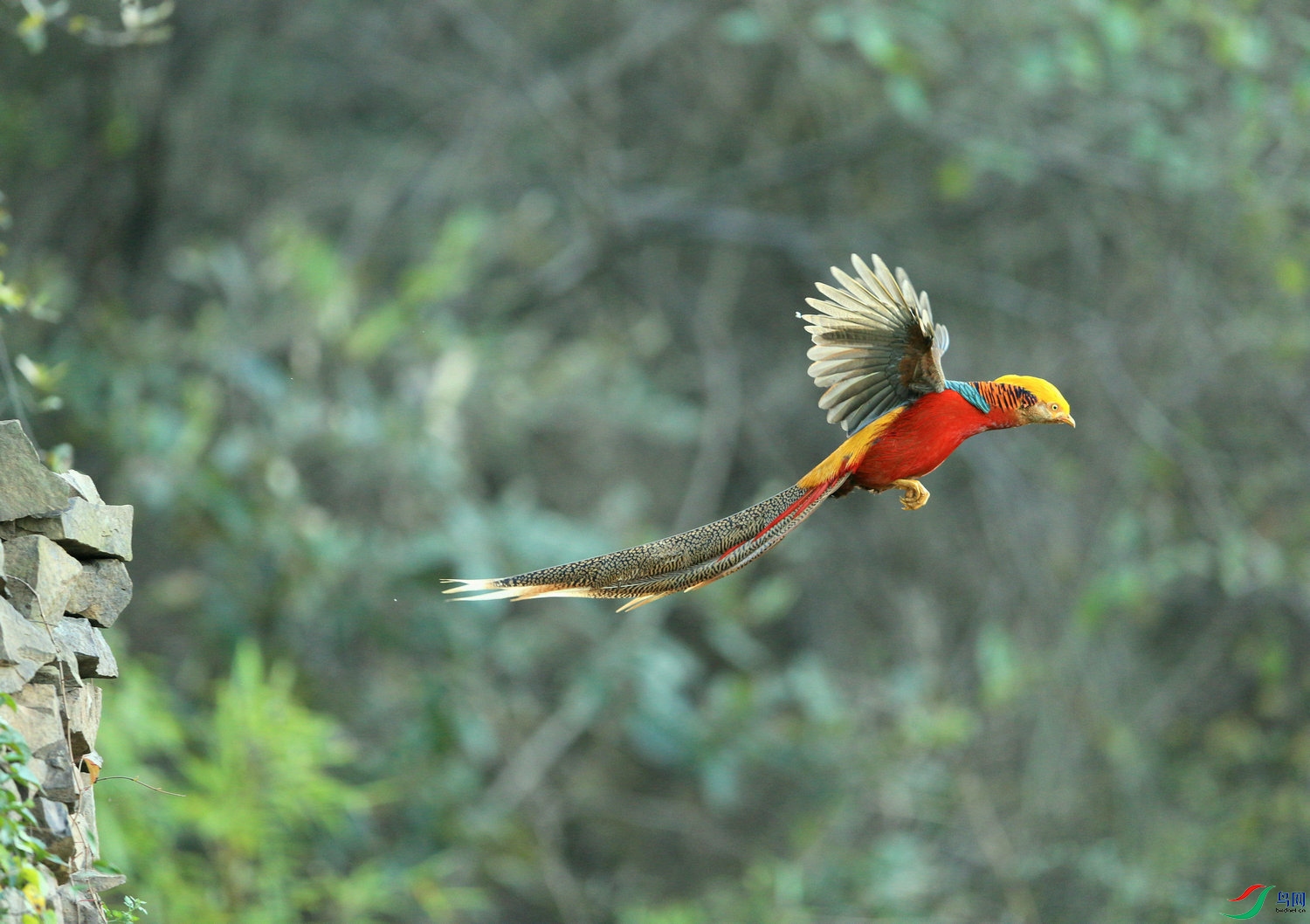 ���� DN4W6840_ 1.jpg