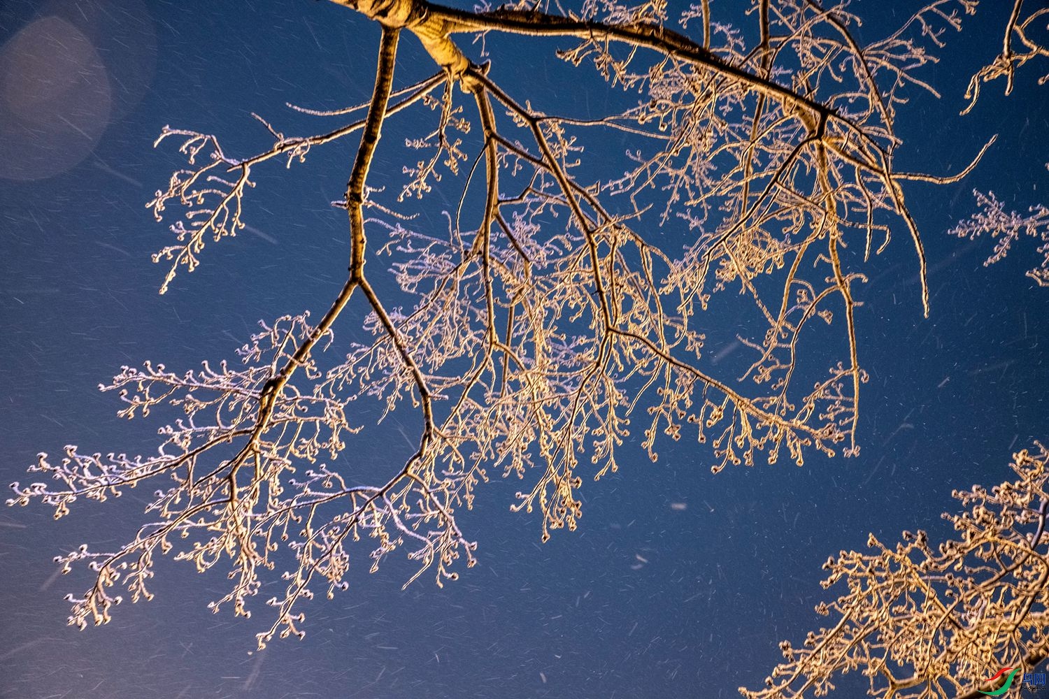 ��ڡ-2 (2)_����.jpg