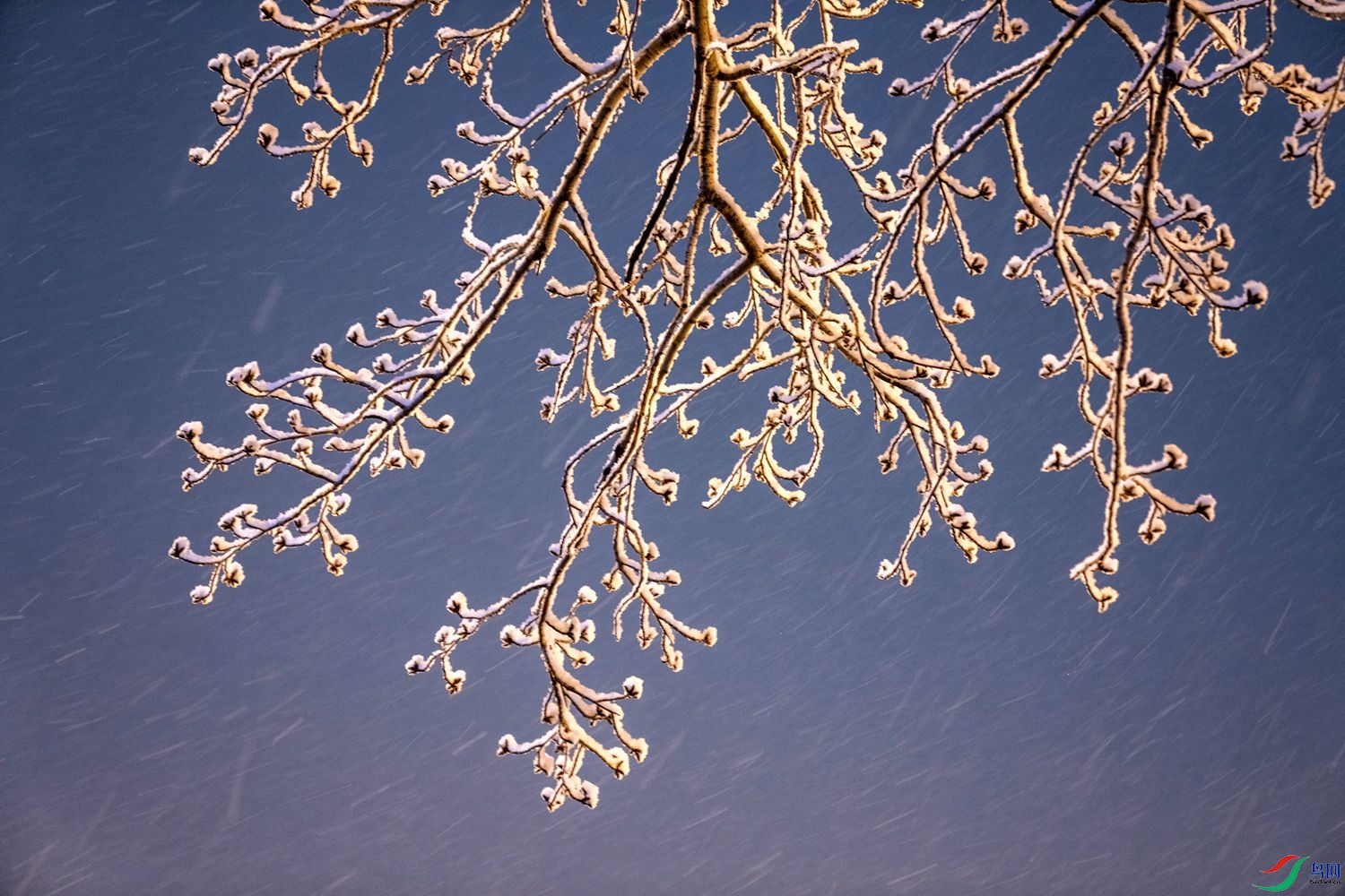 ��ڡ-2 (1)_����.jpg