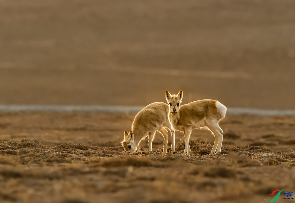 DSC_1473 ����.jpg