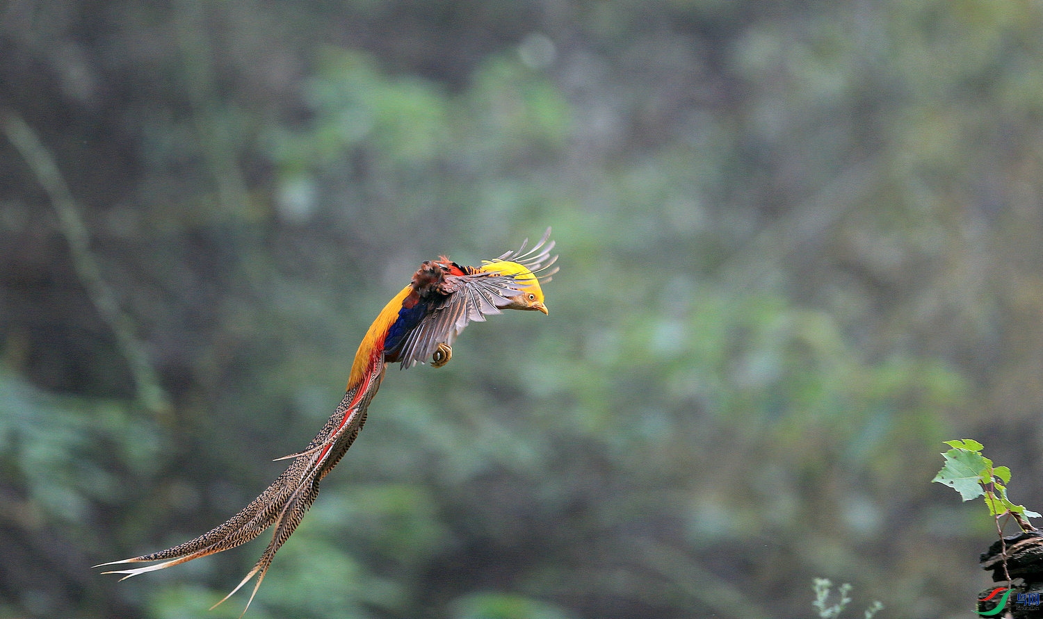 ���  DN4W6396.jpg