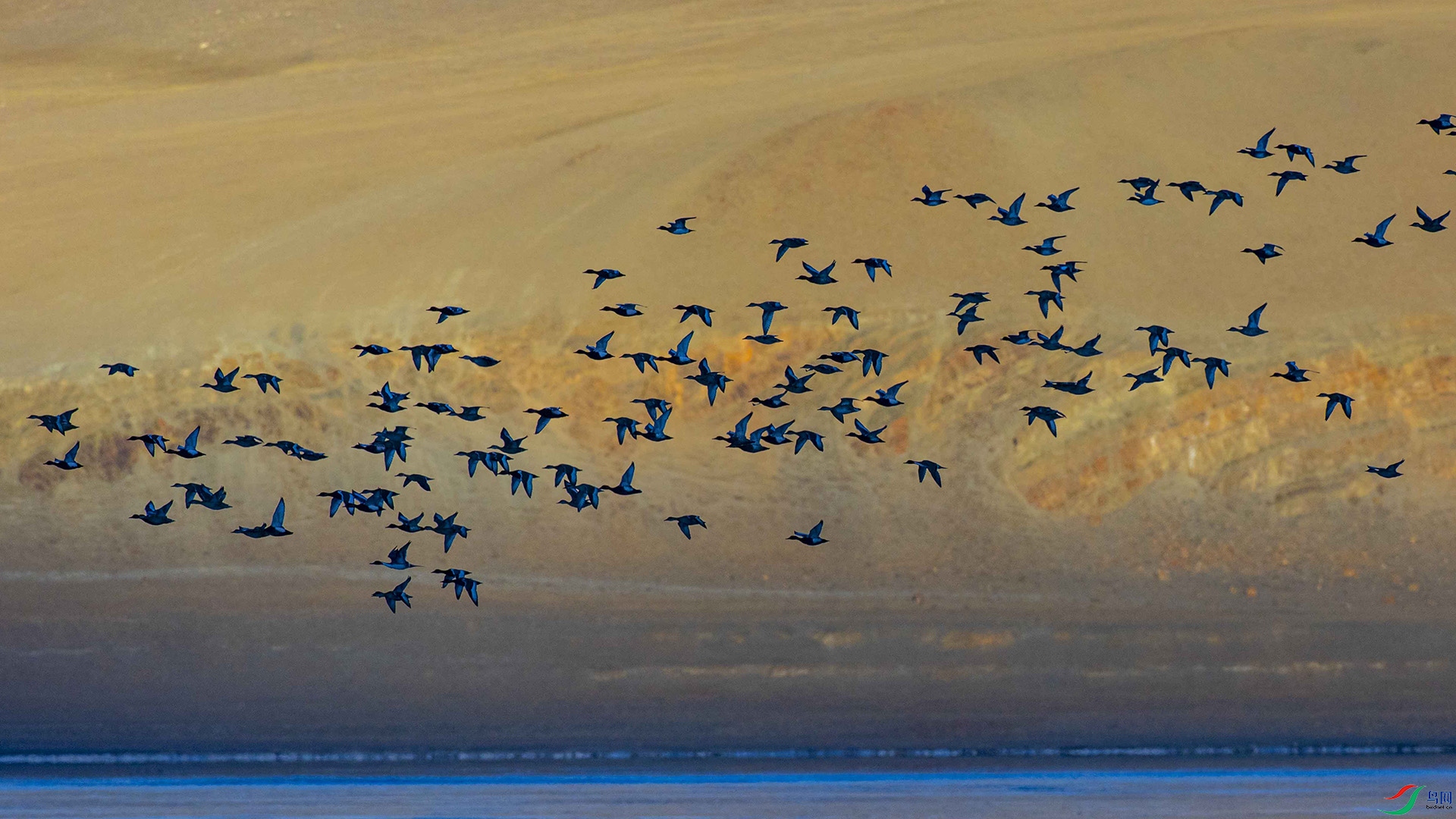 0S4A2996 ����.jpg