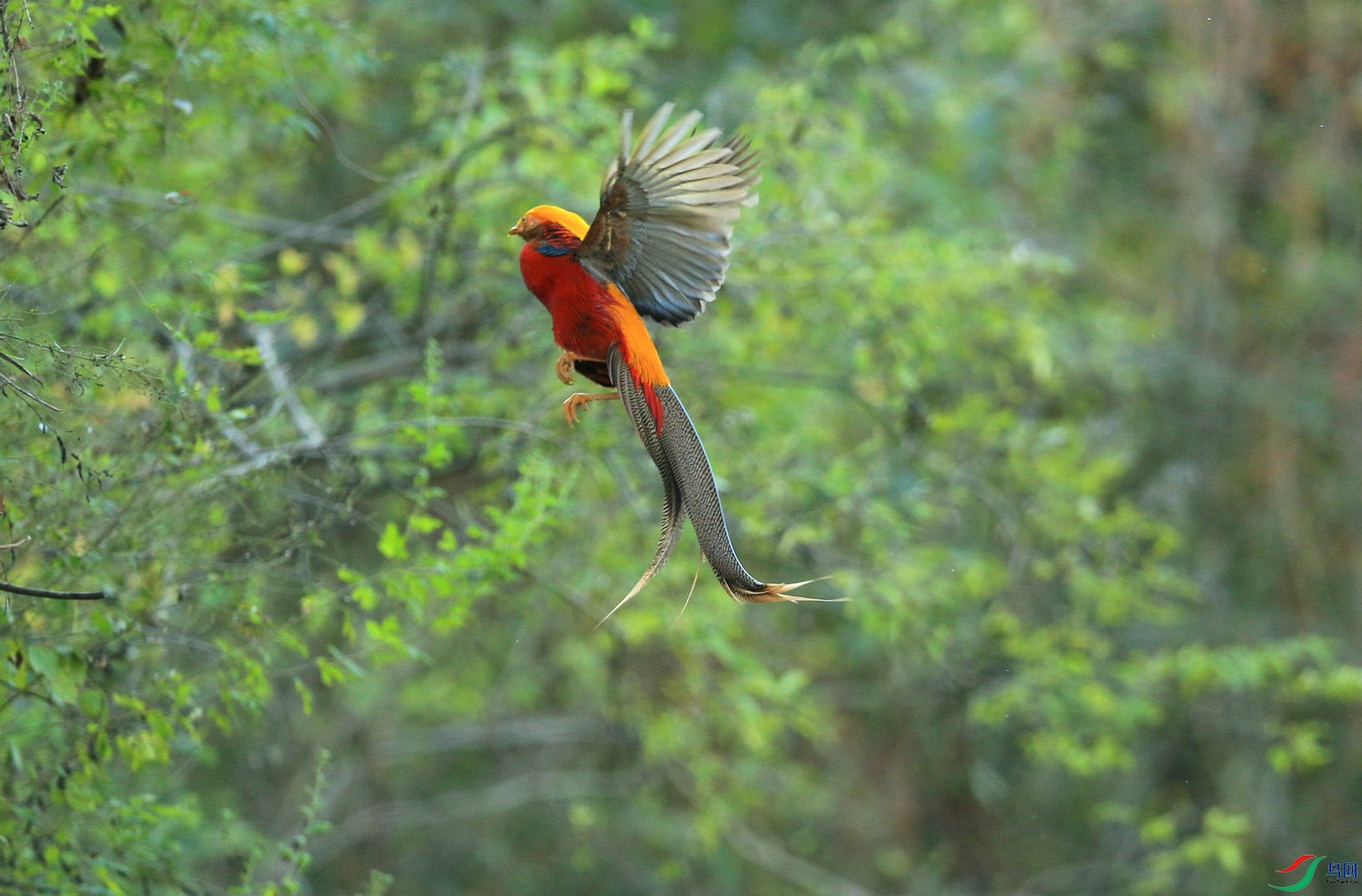 �㽭 DN4W7066 .jpg