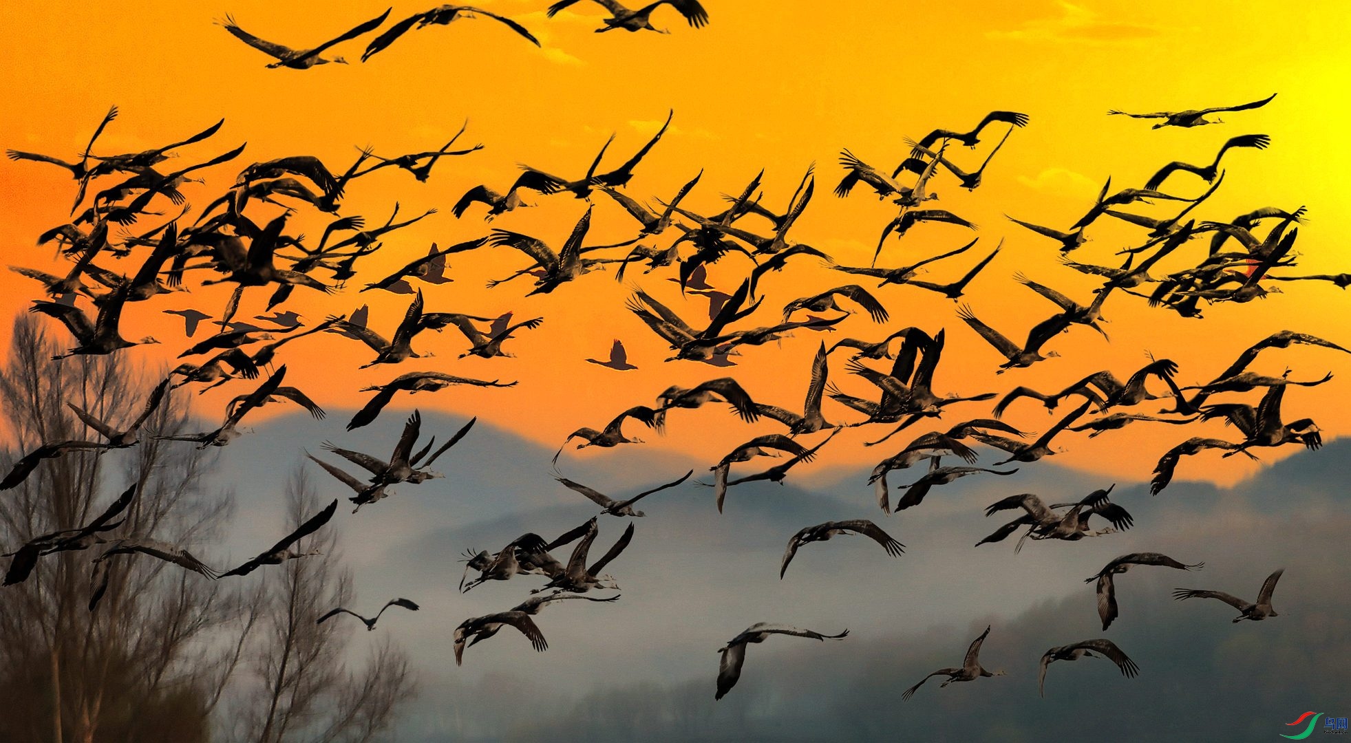 �����׵Ļ�Ǩ֮·