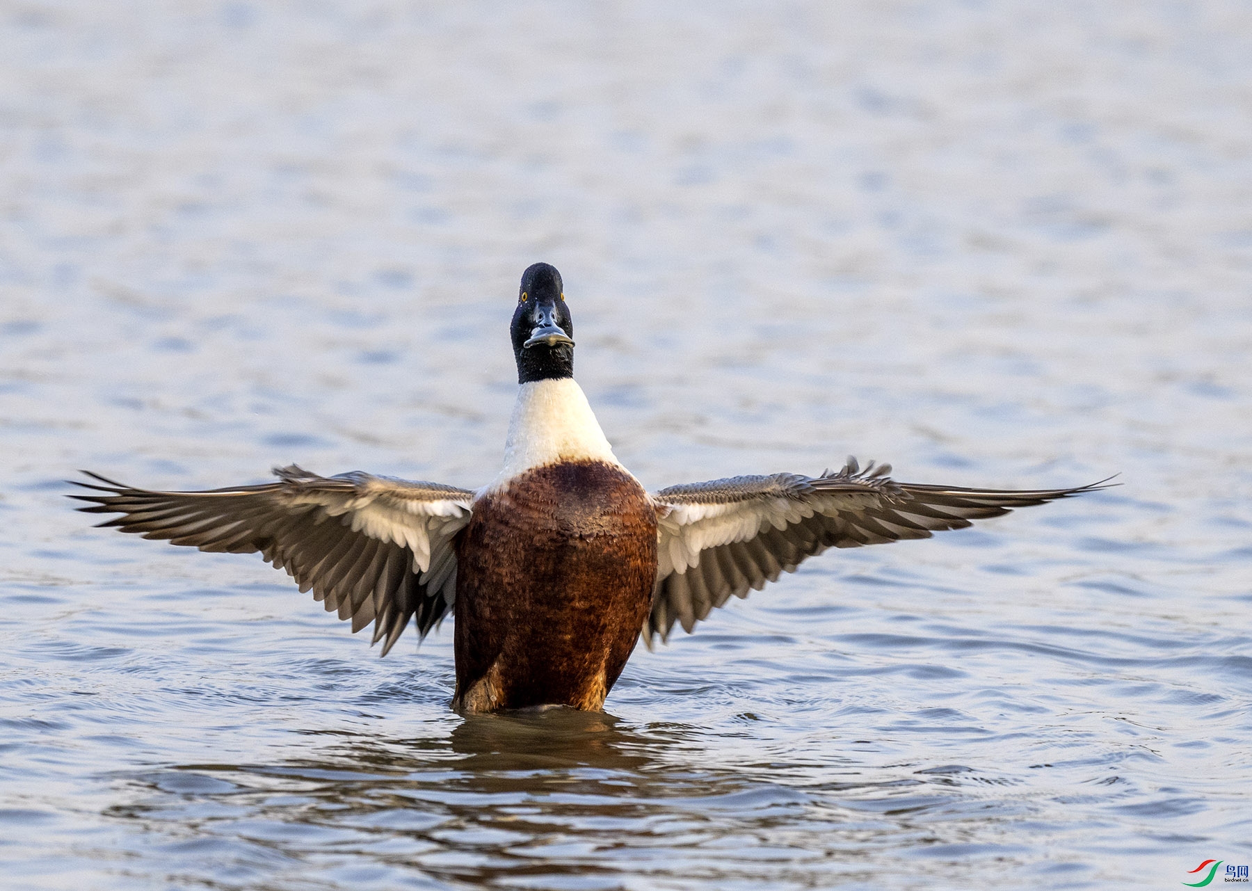 ��DSC_6358.jpg