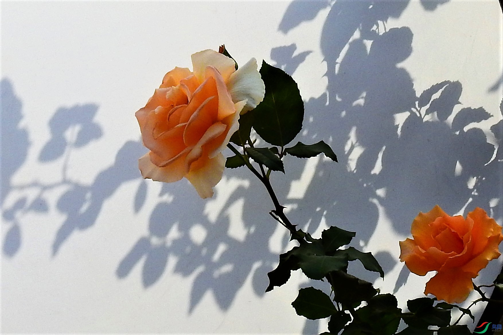 DSCN1346.JPG