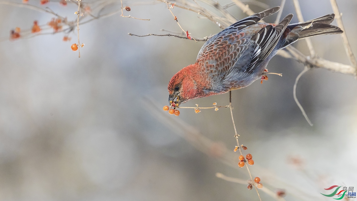 ����  ��ʦ�����ڼ���ʡ������.jpg