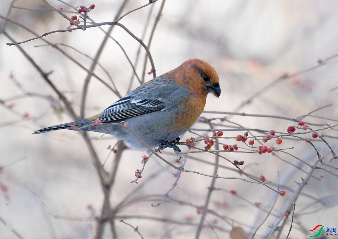 ���ͺ�  ��ʦ�����ڼ���ʡ������.jpg