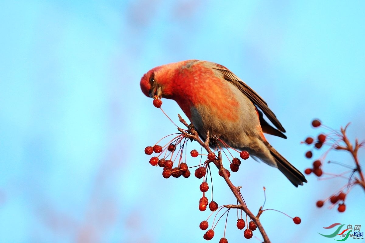 ��ǲ  ��ʦ����������ʡ.jpg