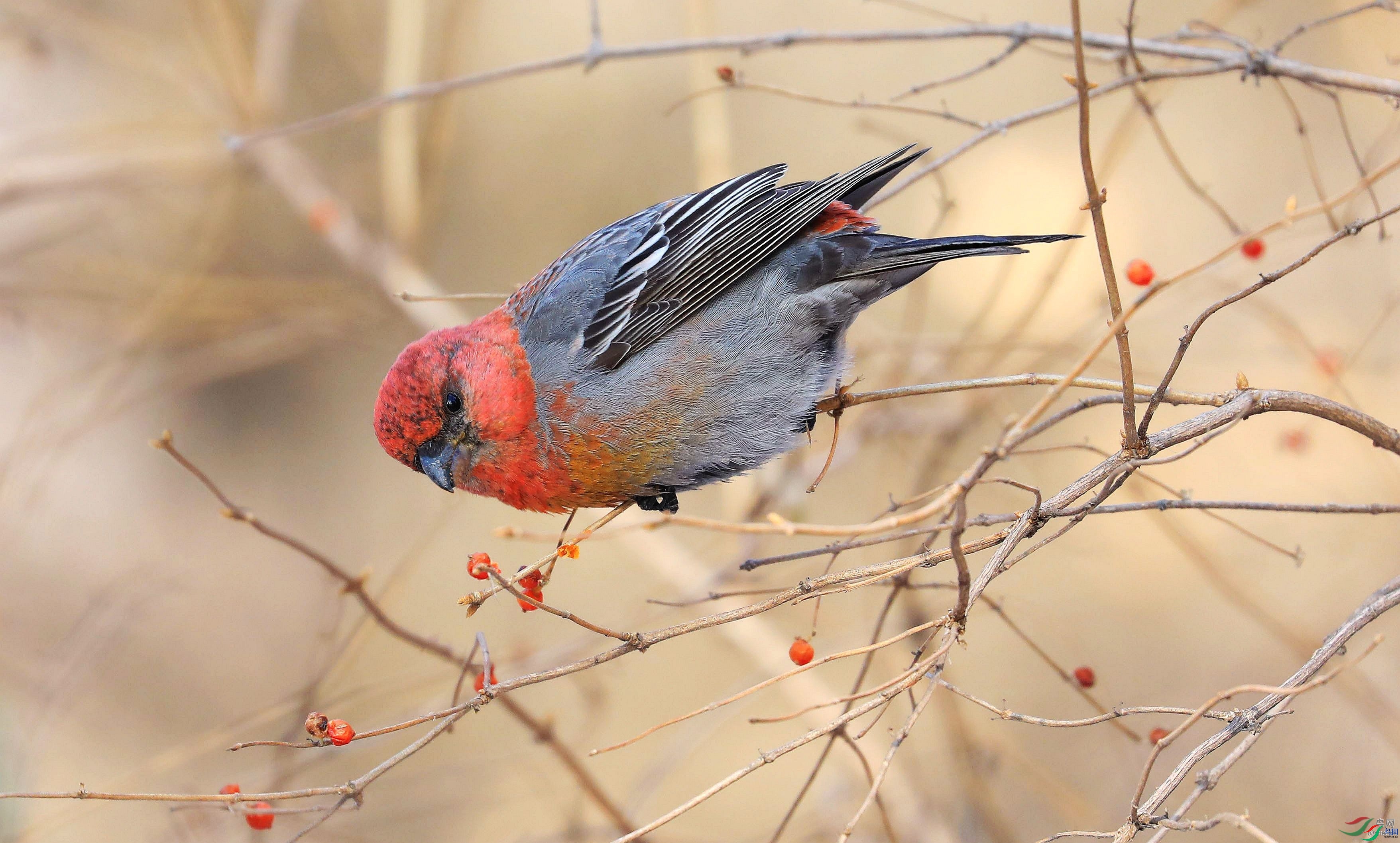 �����ø�999  ��ʦ�����ڼ���ʡ������.jpg