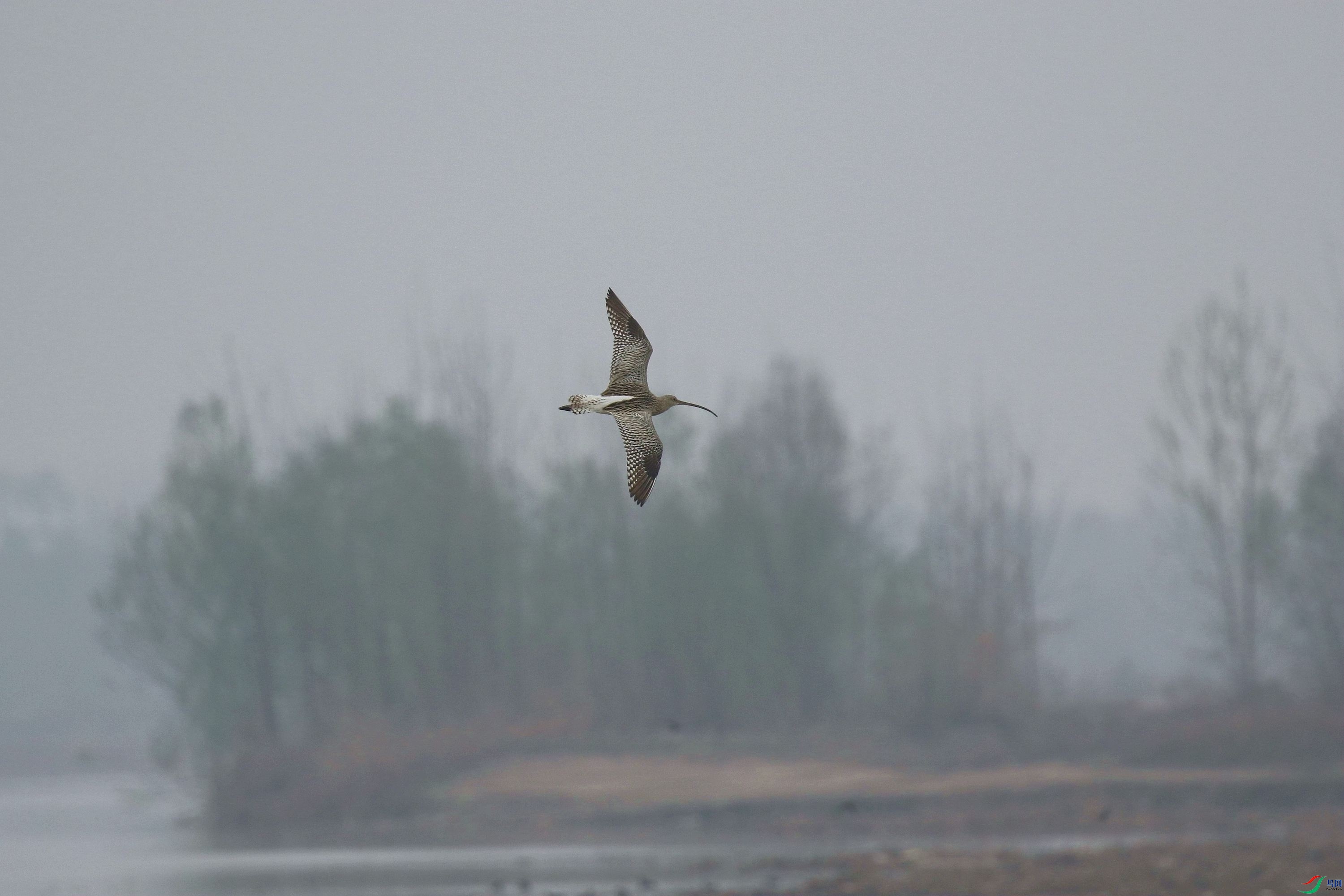 YGK_5405_����.jpg