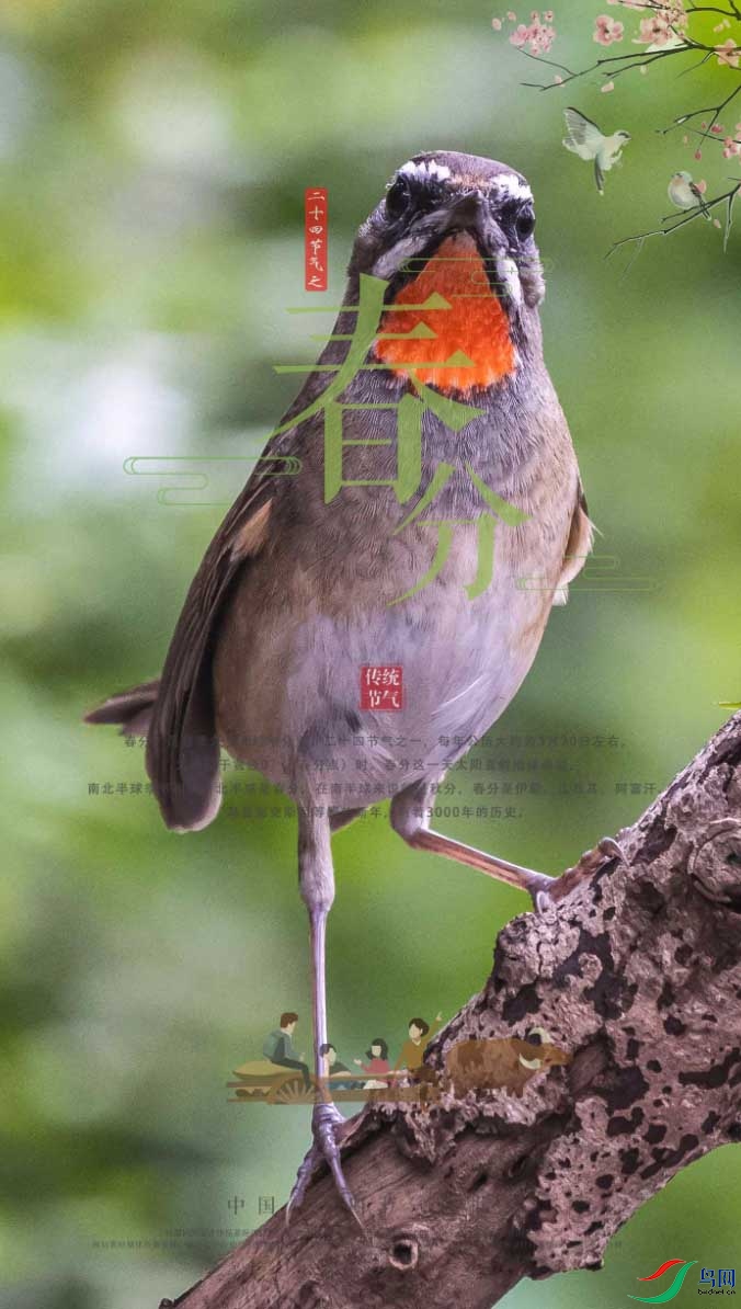 1OL77PX7}S]EQX]1~DC6.jpg